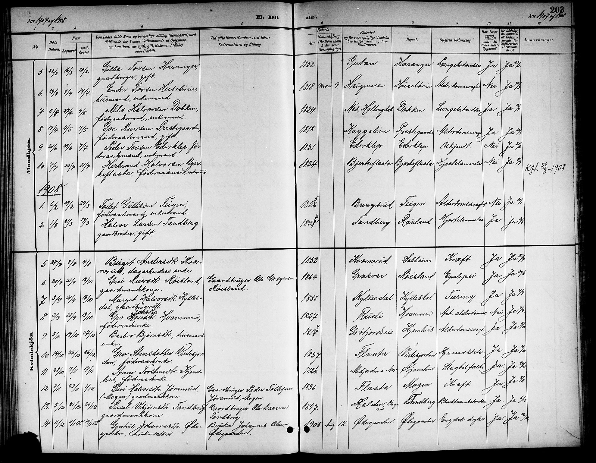 Nore kirkebøker, AV/SAKO-A-238/G/Gb/L0003: Parish register (copy) no. II 3, 1894-1923, p. 203