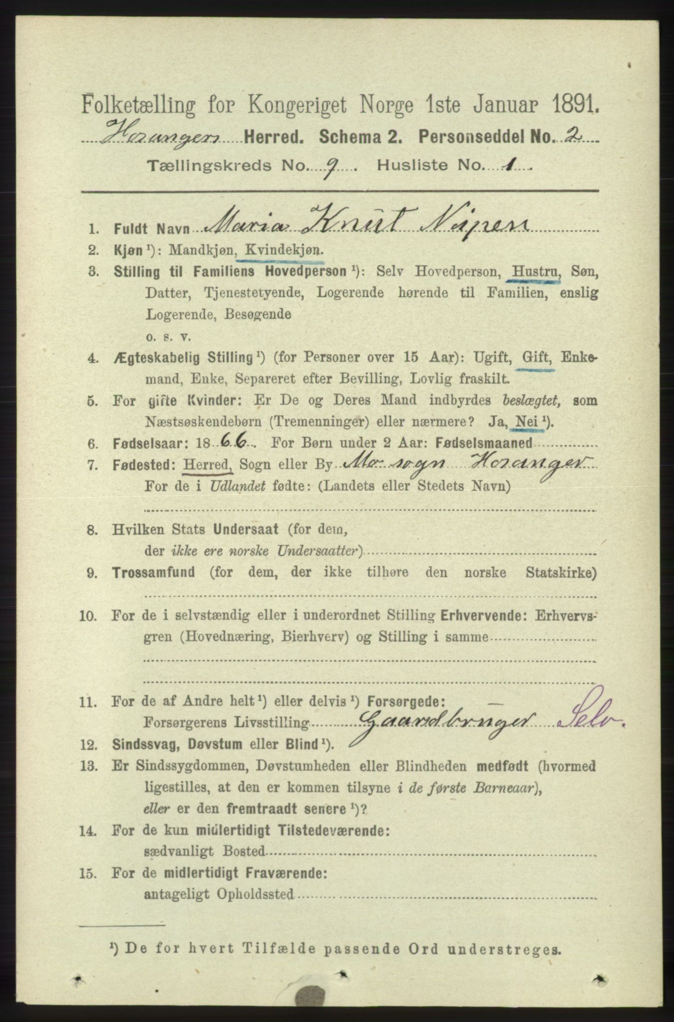 RA, 1891 census for 1253 Hosanger, 1891, p. 3294