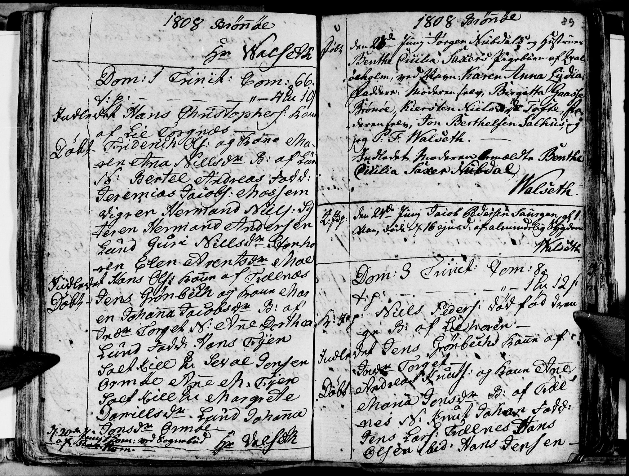 Ministerialprotokoller, klokkerbøker og fødselsregistre - Nordland, AV/SAT-A-1459/813/L0209: Parish register (copy) no. 813C01, 1803-1821, p. 89