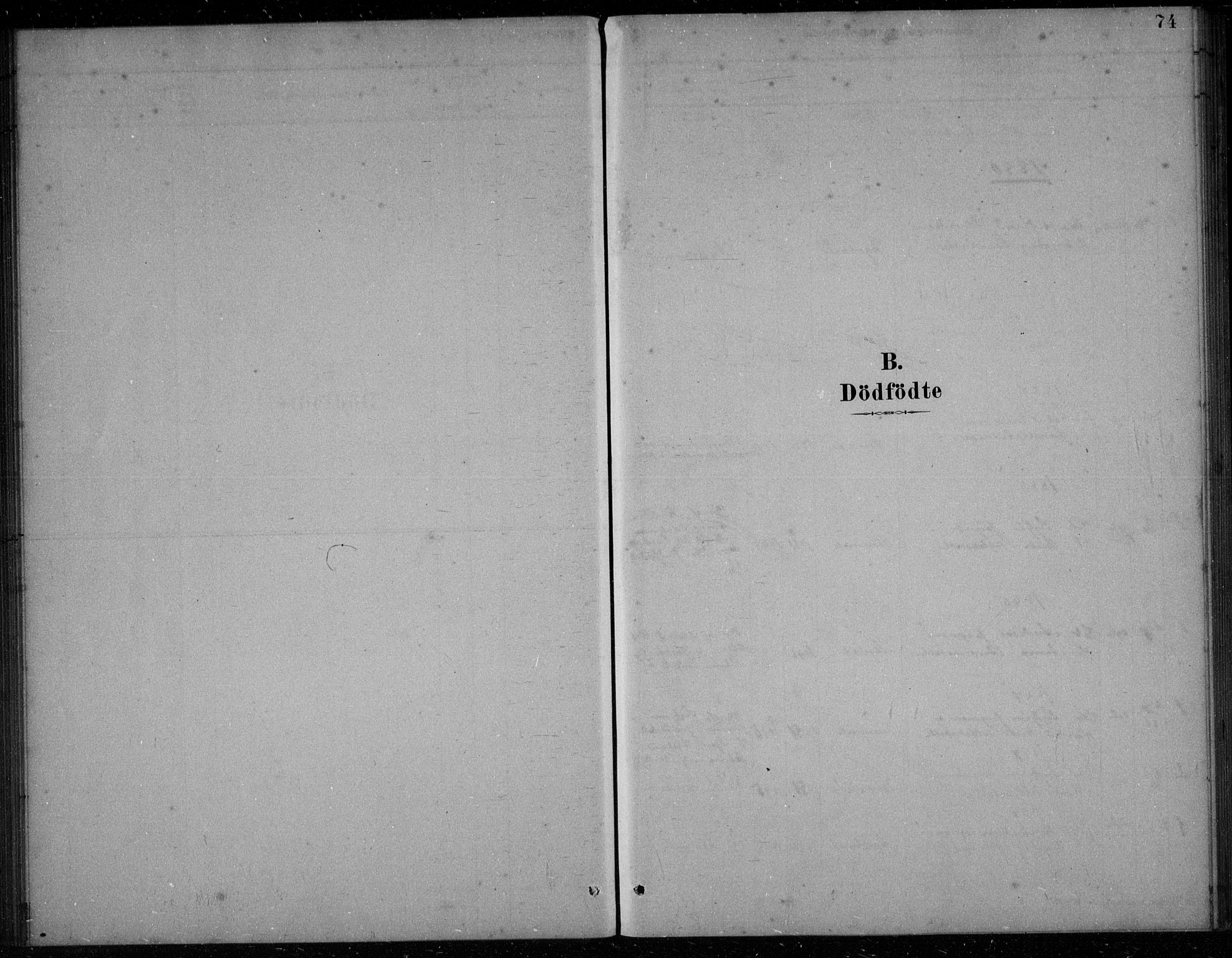 Bakke sokneprestkontor, SAK/1111-0002/F/Fb/Fbb/L0003: Parish register (copy) no. B 3, 1878-1896, p. 74