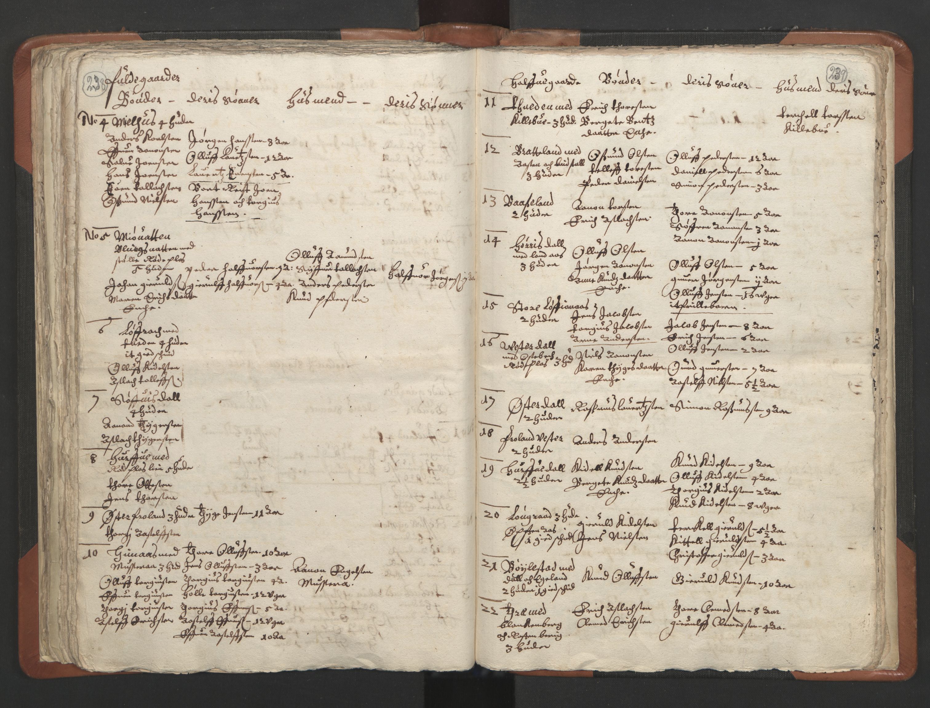 RA, Vicar's Census 1664-1666, no. 13: Nedenes deanery, 1664-1666, p. 238-239