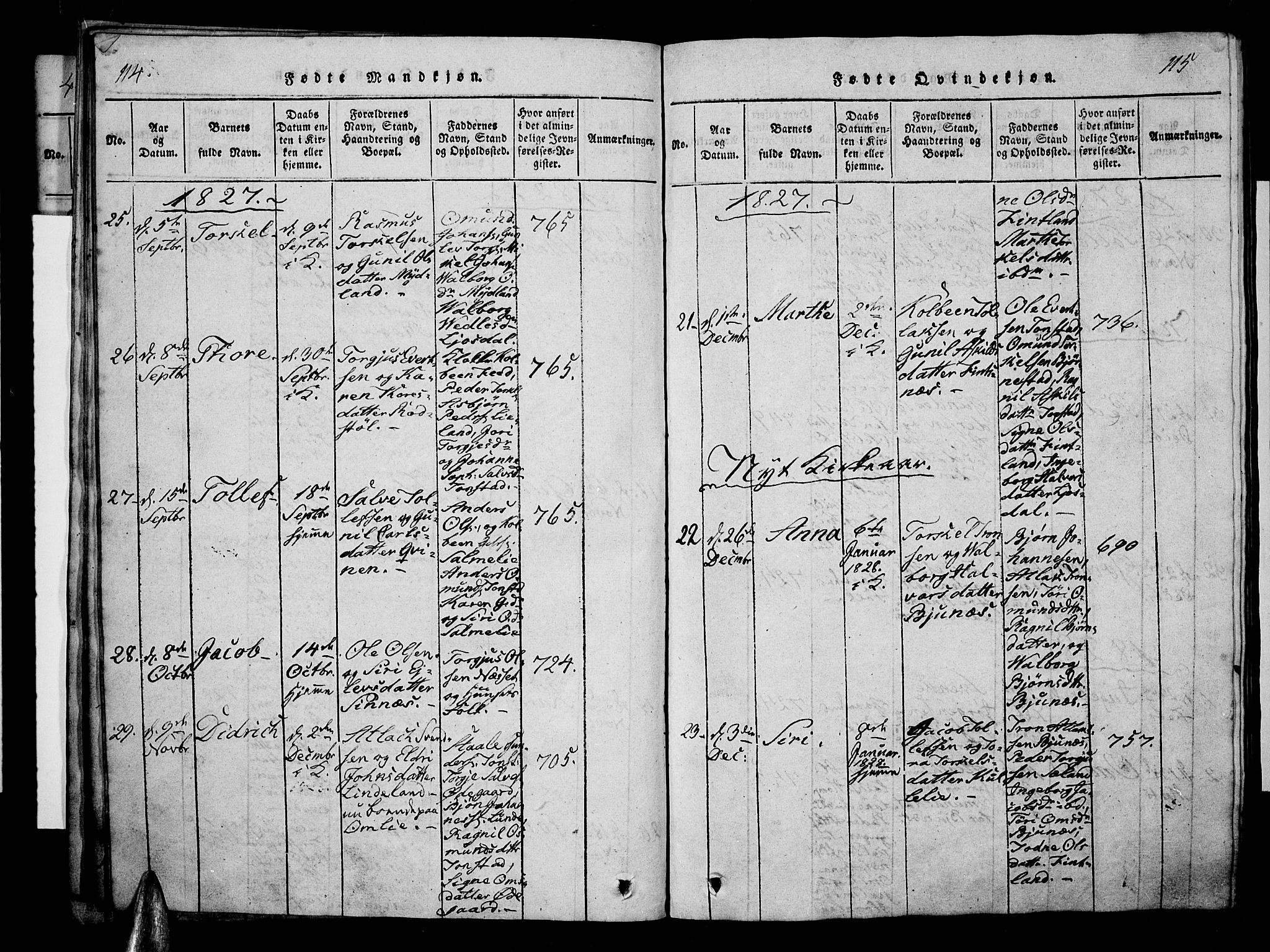 Sirdal sokneprestkontor, AV/SAK-1111-0036/F/Fa/Fab/L0001: Parish register (official) no. A 1, 1815-1834, p. 114-115