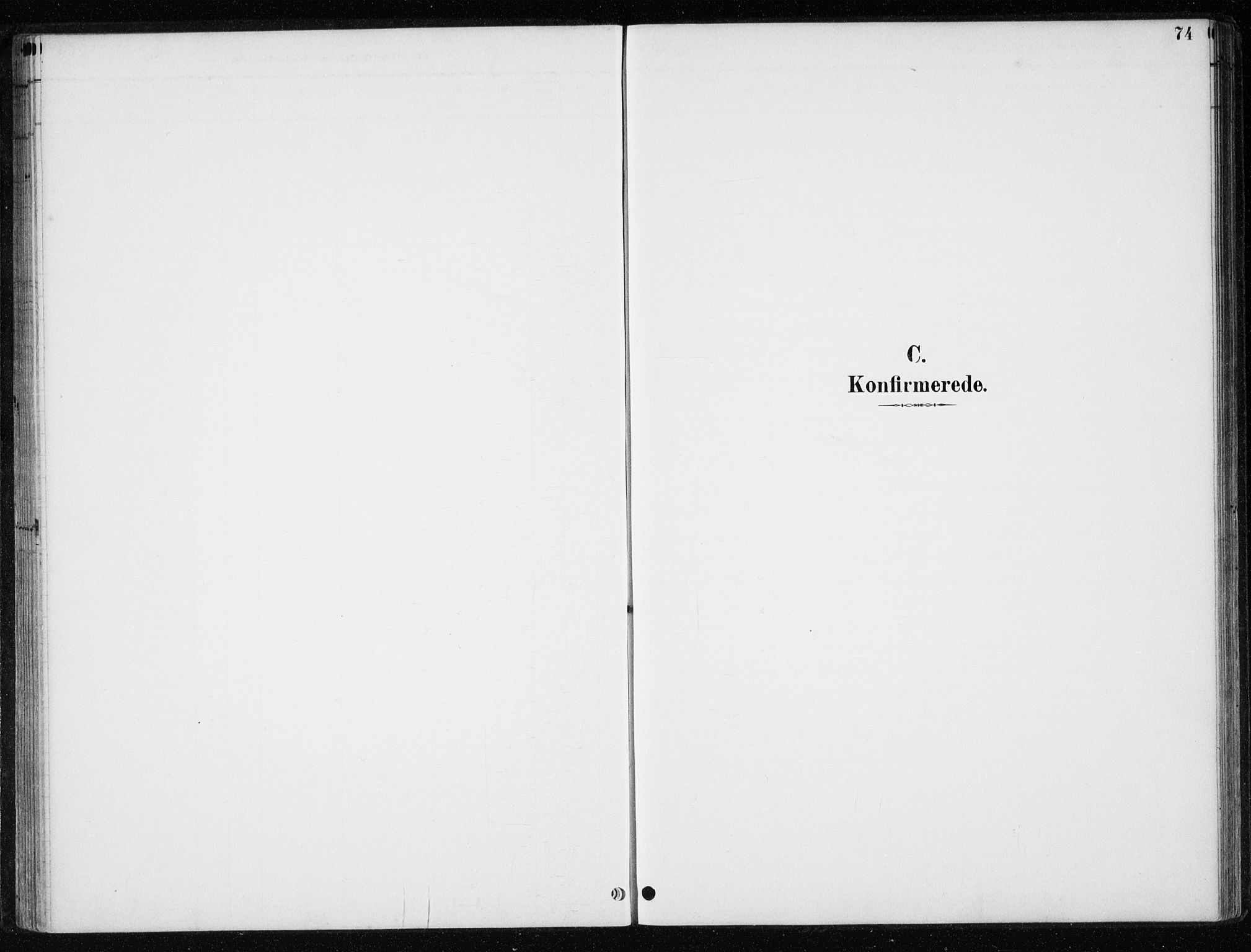 Ministerialprotokoller, klokkerbøker og fødselsregistre - Nord-Trøndelag, SAT/A-1458/710/L0096: Parish register (copy) no. 710C01, 1892-1925, p. 74