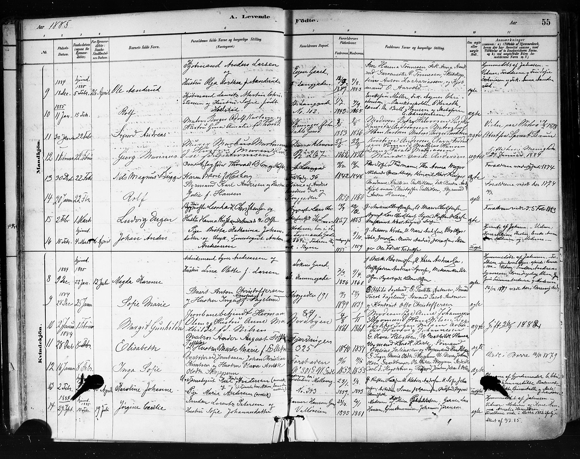 Tønsberg kirkebøker, AV/SAKO-A-330/F/Fa/L0011: Parish register (official) no. I 11, 1881-1890, p. 55