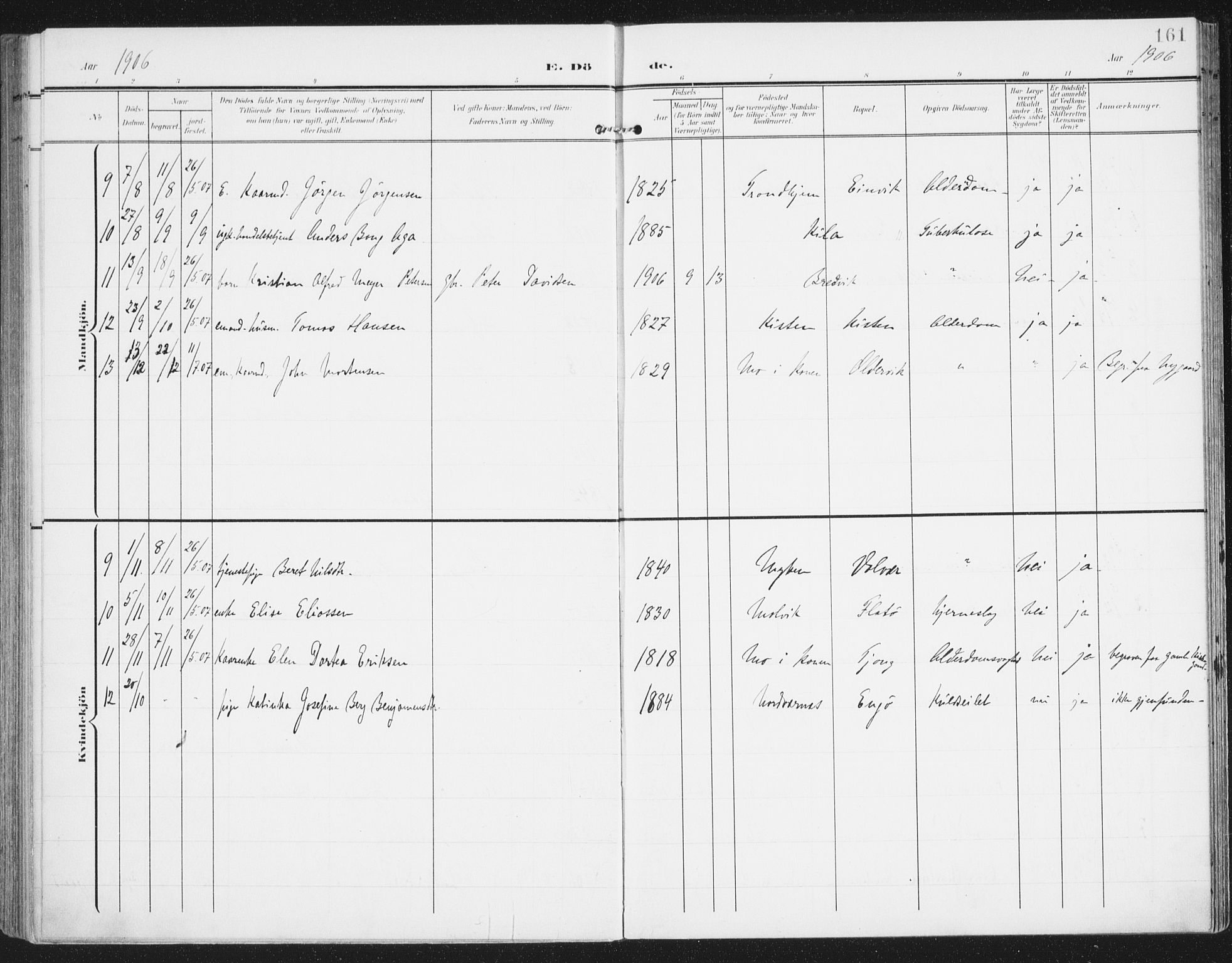 Ministerialprotokoller, klokkerbøker og fødselsregistre - Nordland, AV/SAT-A-1459/841/L0612: Parish register (official) no. 841A15, 1902-1910, p. 161