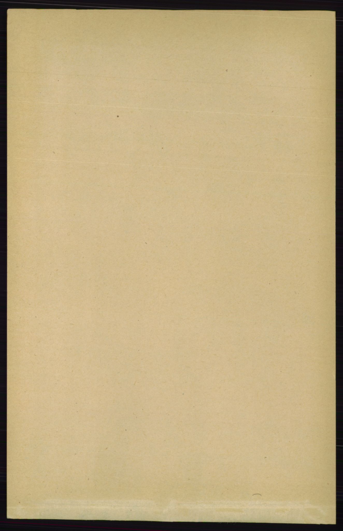 RA, 1891 census for 0913 Søndeled, 1891, p. 381