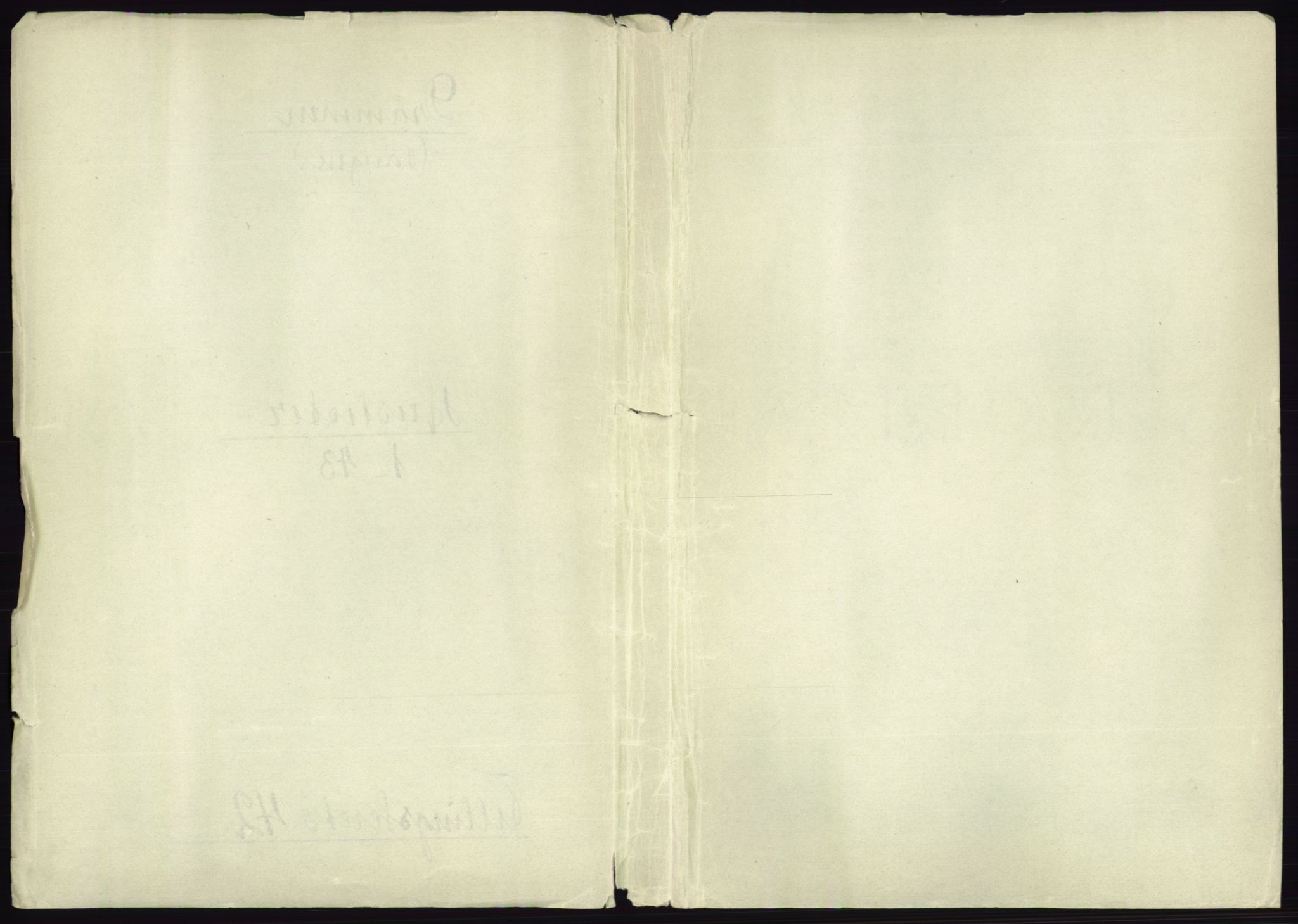 RA, 1891 census for 0602 Drammen, 1891, p. 3716