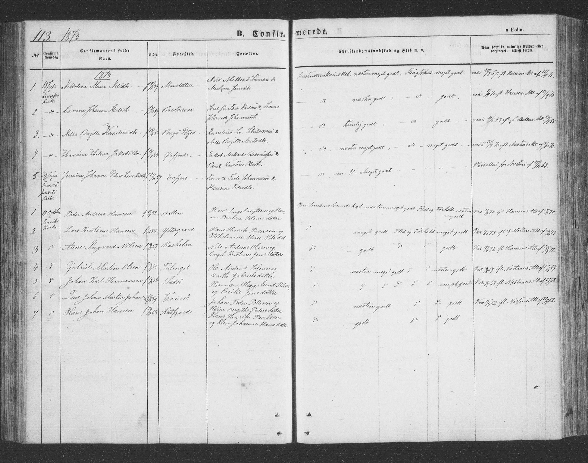 Lenvik sokneprestembete, SATØ/S-1310/H/Ha/Hab/L0020klokker: Parish register (copy) no. 20, 1855-1883, p. 113