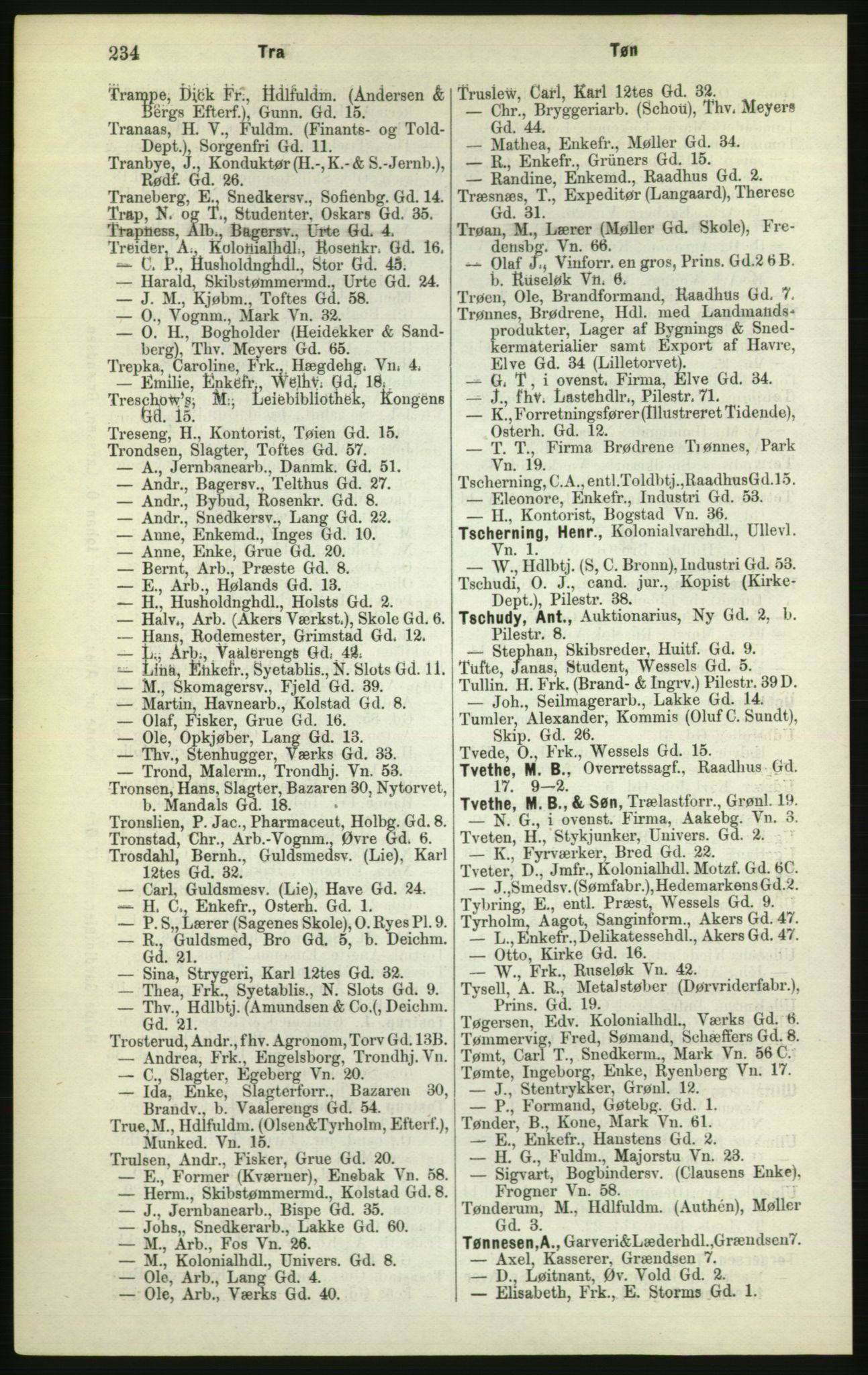 Kristiania/Oslo adressebok, PUBL/-, 1882, p. 234