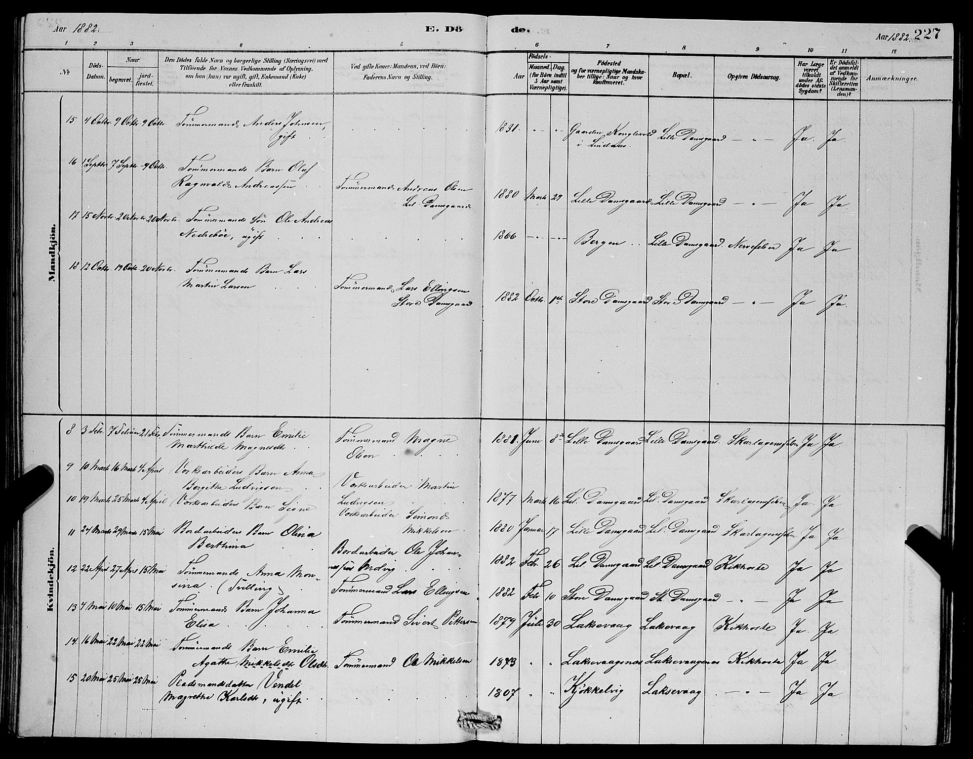 Laksevåg Sokneprestembete, AV/SAB-A-76501/H/Ha/Hab/Haba/L0002: Parish register (copy) no. A 2, 1877-1887, p. 227