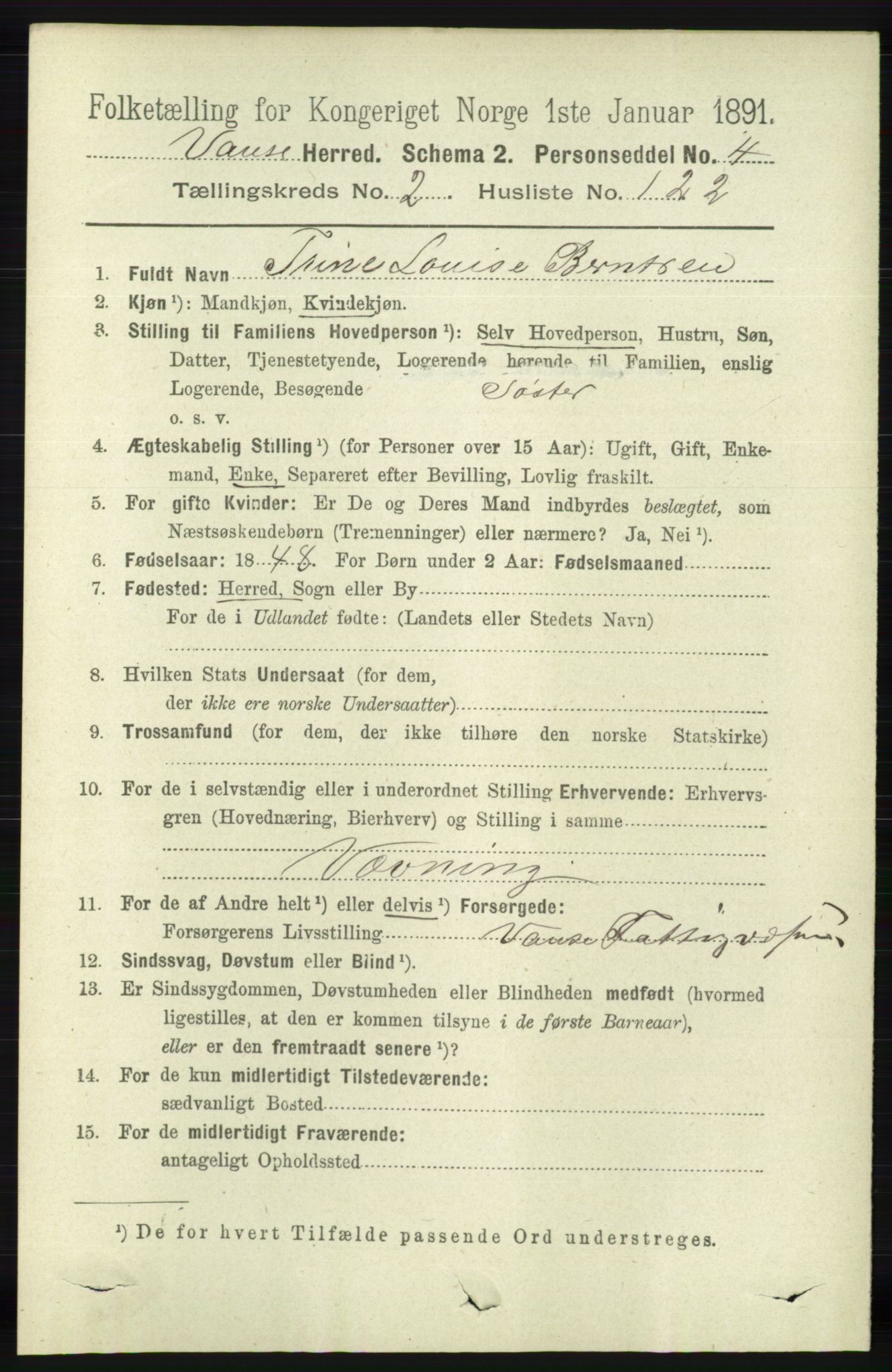 RA, 1891 census for 1041 Vanse, 1891, p. 1251