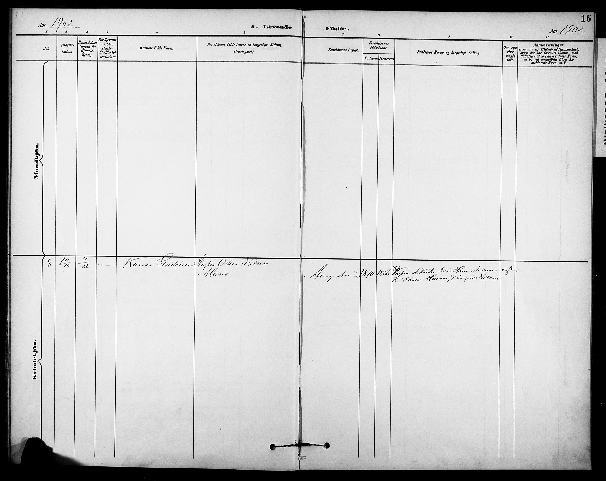 Borre kirkebøker, SAKO/A-338/F/Fb/L0002: Parish register (official) no. II 2, 1893-1905, p. 15