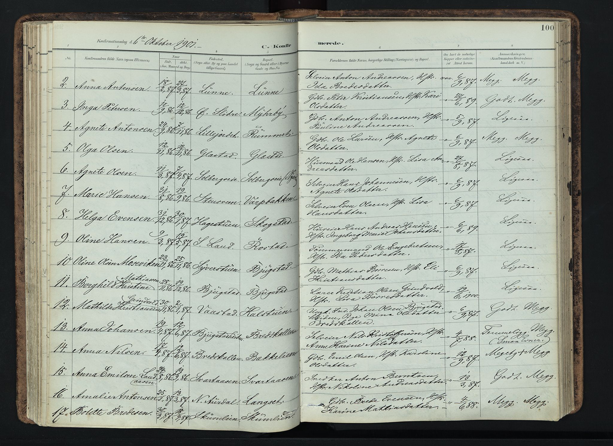 Vardal prestekontor, SAH/PREST-100/H/Ha/Haa/L0019: Parish register (official) no. 19, 1893-1907, p. 100