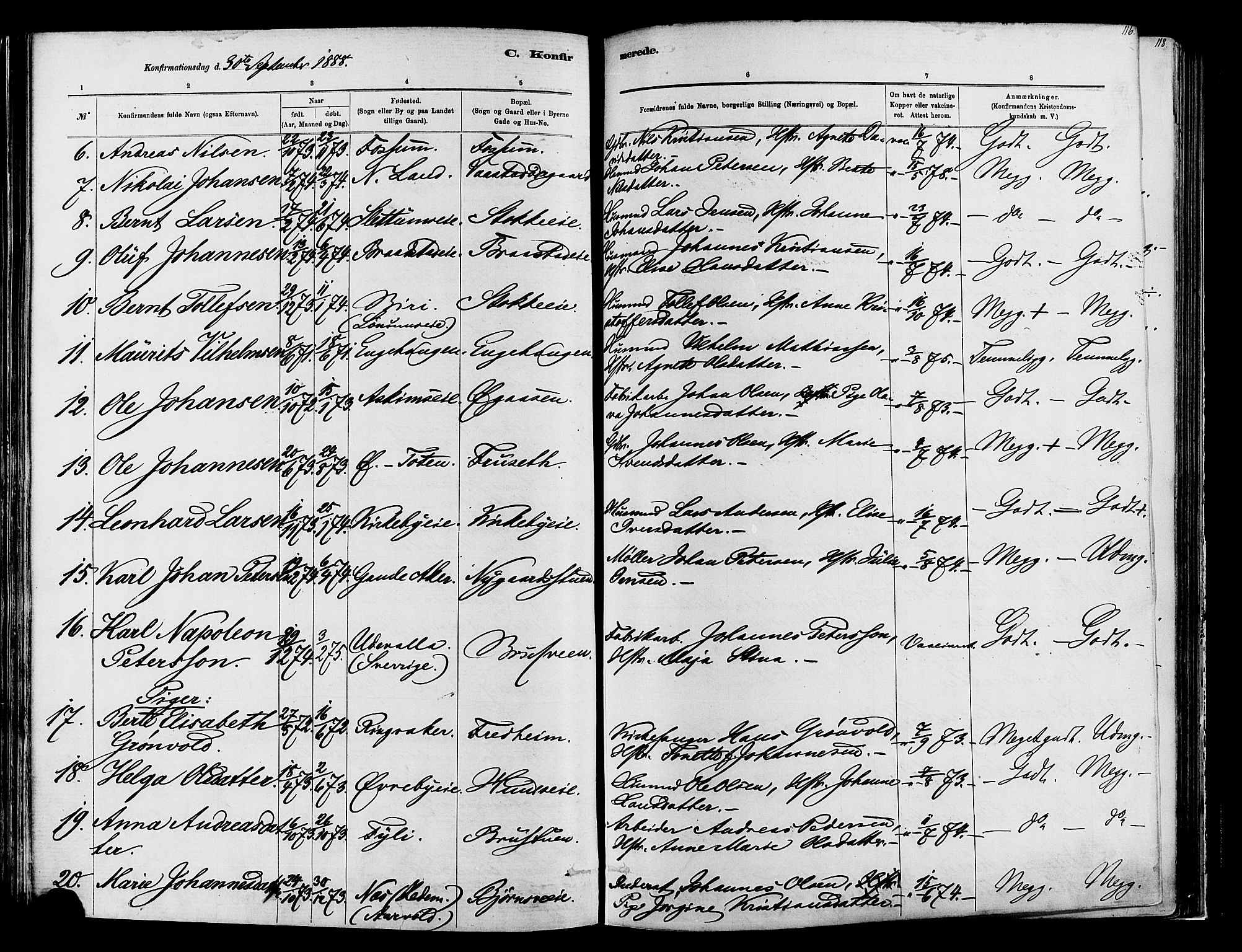 Vardal prestekontor, SAH/PREST-100/H/Ha/Haa/L0009: Parish register (official) no. 9, 1878-1892, p. 116
