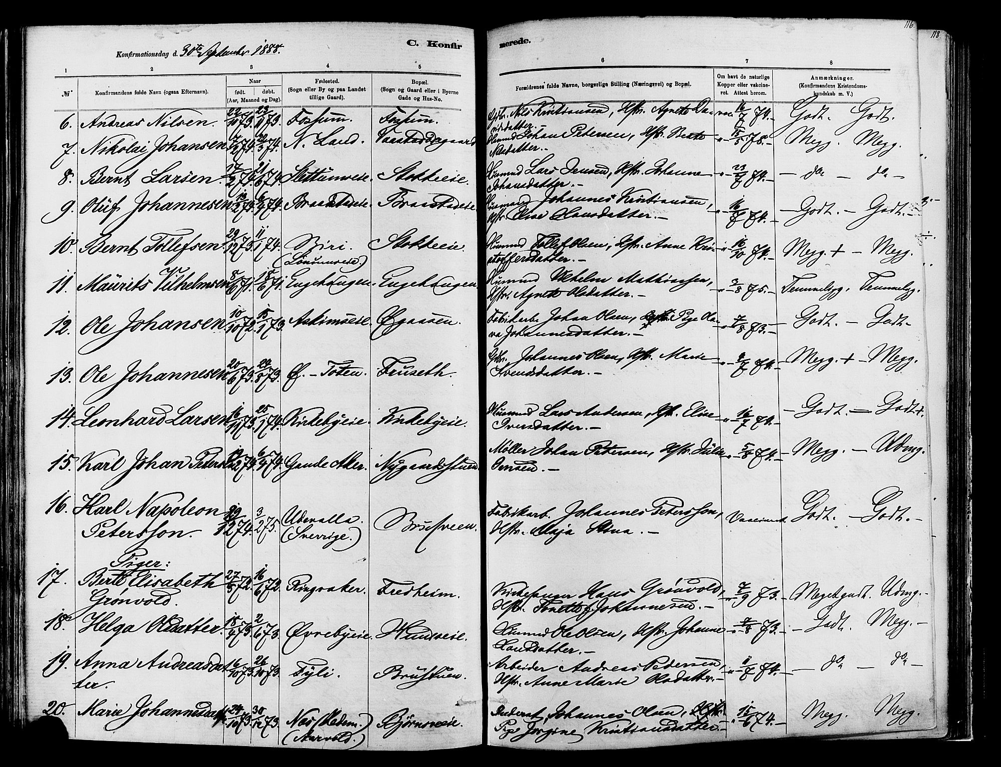 Vardal prestekontor, AV/SAH-PREST-100/H/Ha/Haa/L0009: Parish register (official) no. 9, 1878-1892, p. 116