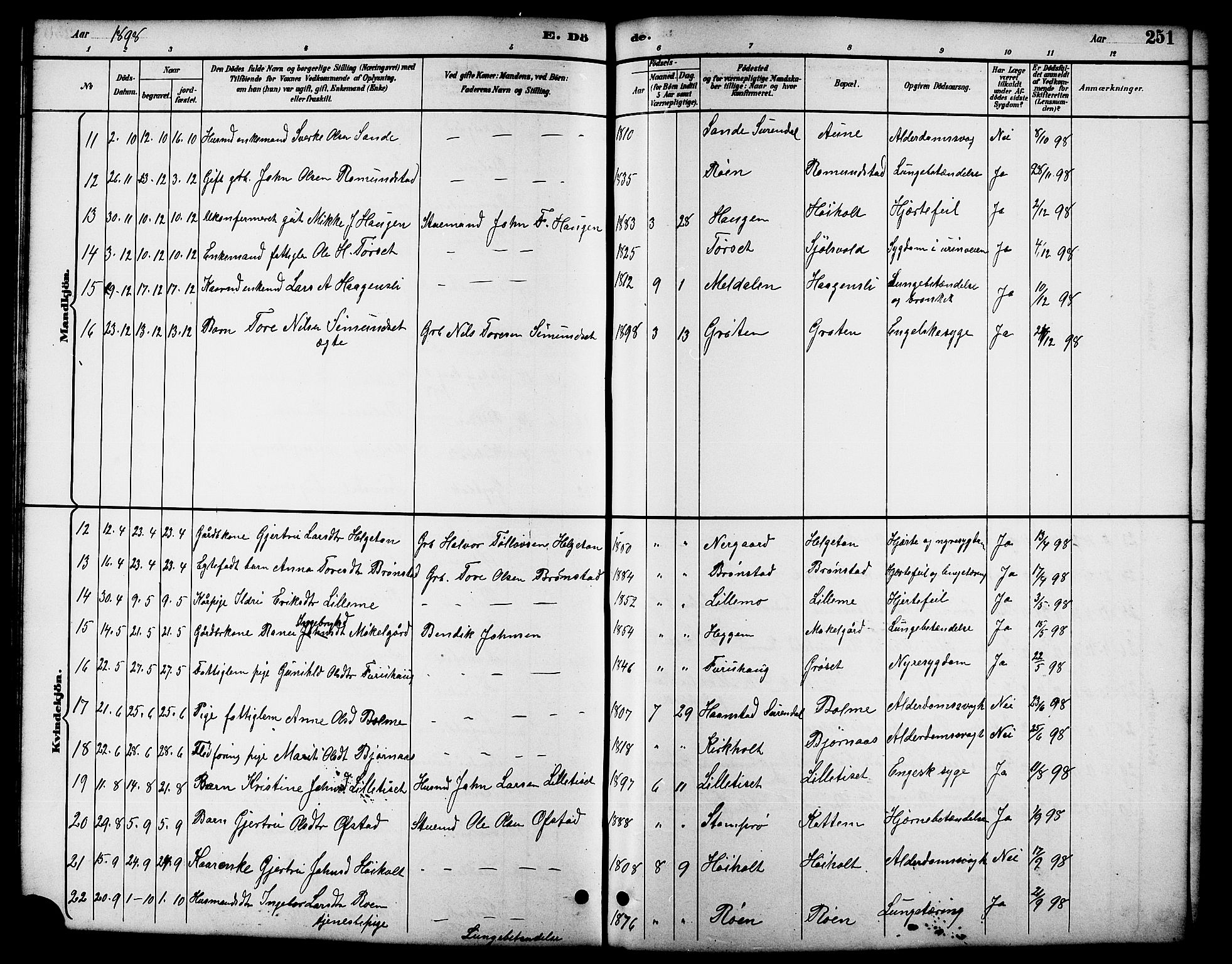 Ministerialprotokoller, klokkerbøker og fødselsregistre - Møre og Romsdal, AV/SAT-A-1454/598/L1078: Parish register (copy) no. 598C03, 1892-1909, p. 251