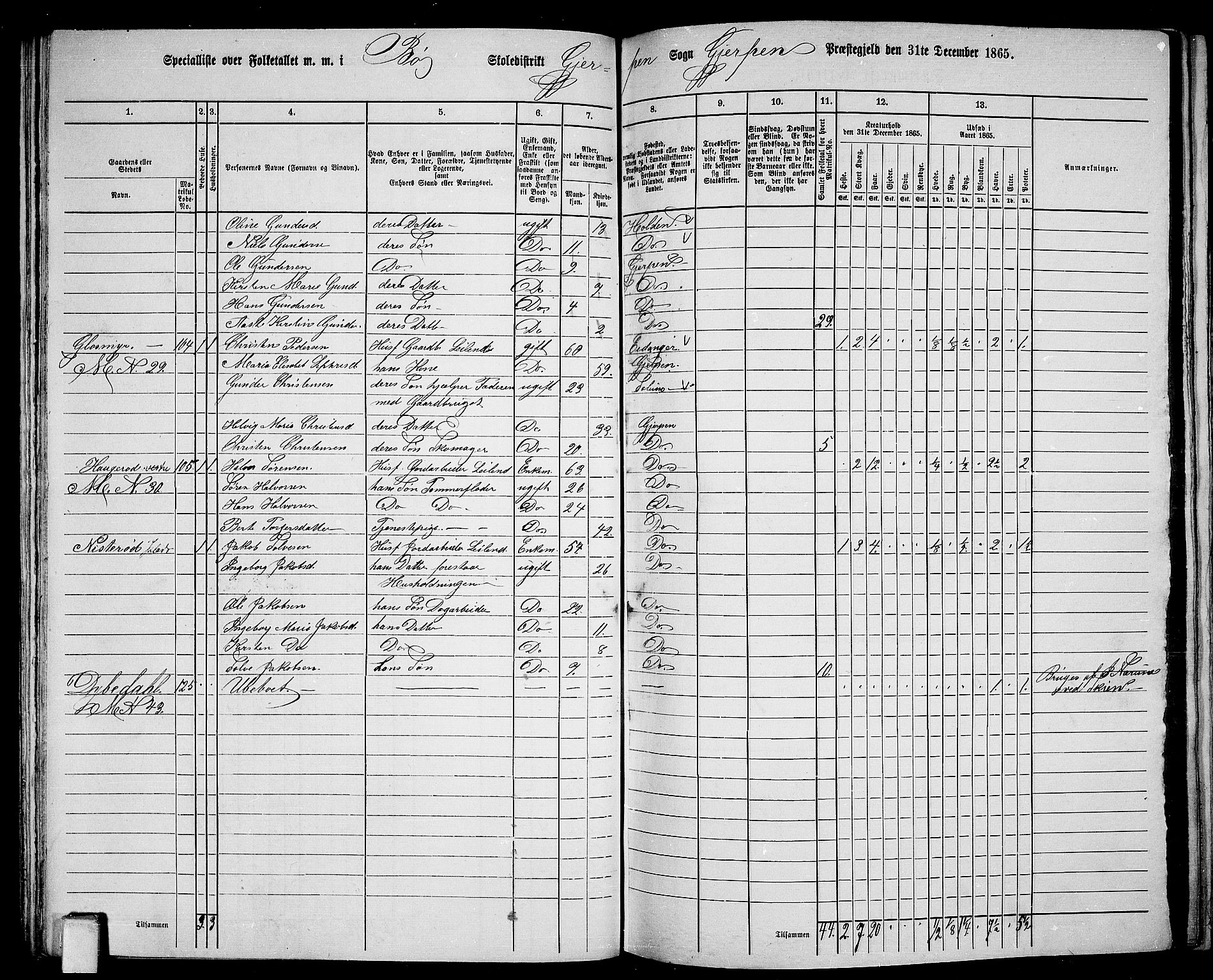 RA, 1865 census for Gjerpen, 1865, p. 71