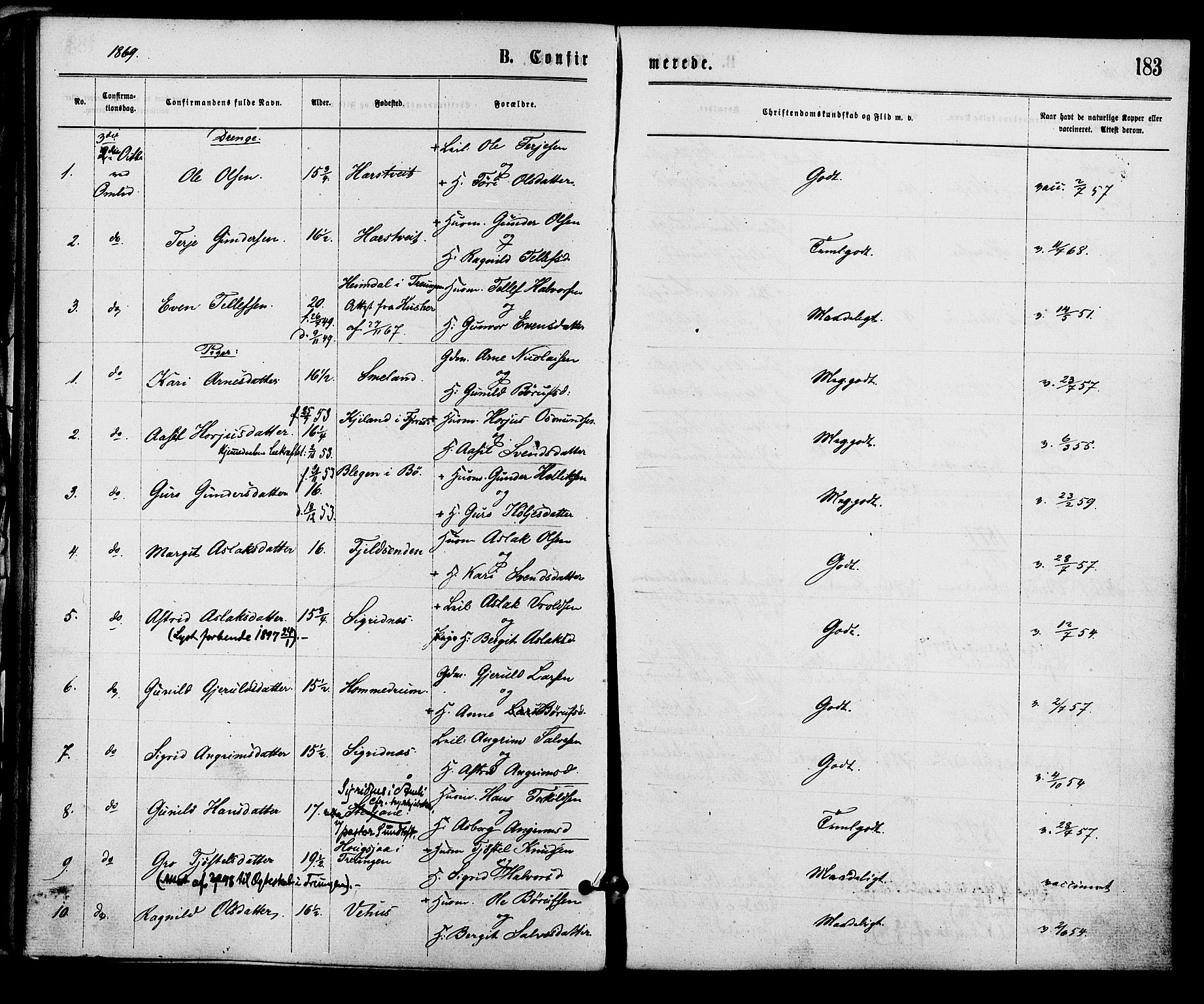Åmli sokneprestkontor, SAK/1111-0050/F/Fa/Fac/L0009: Parish register (official) no. A 9 /2, 1869-1884, p. 183