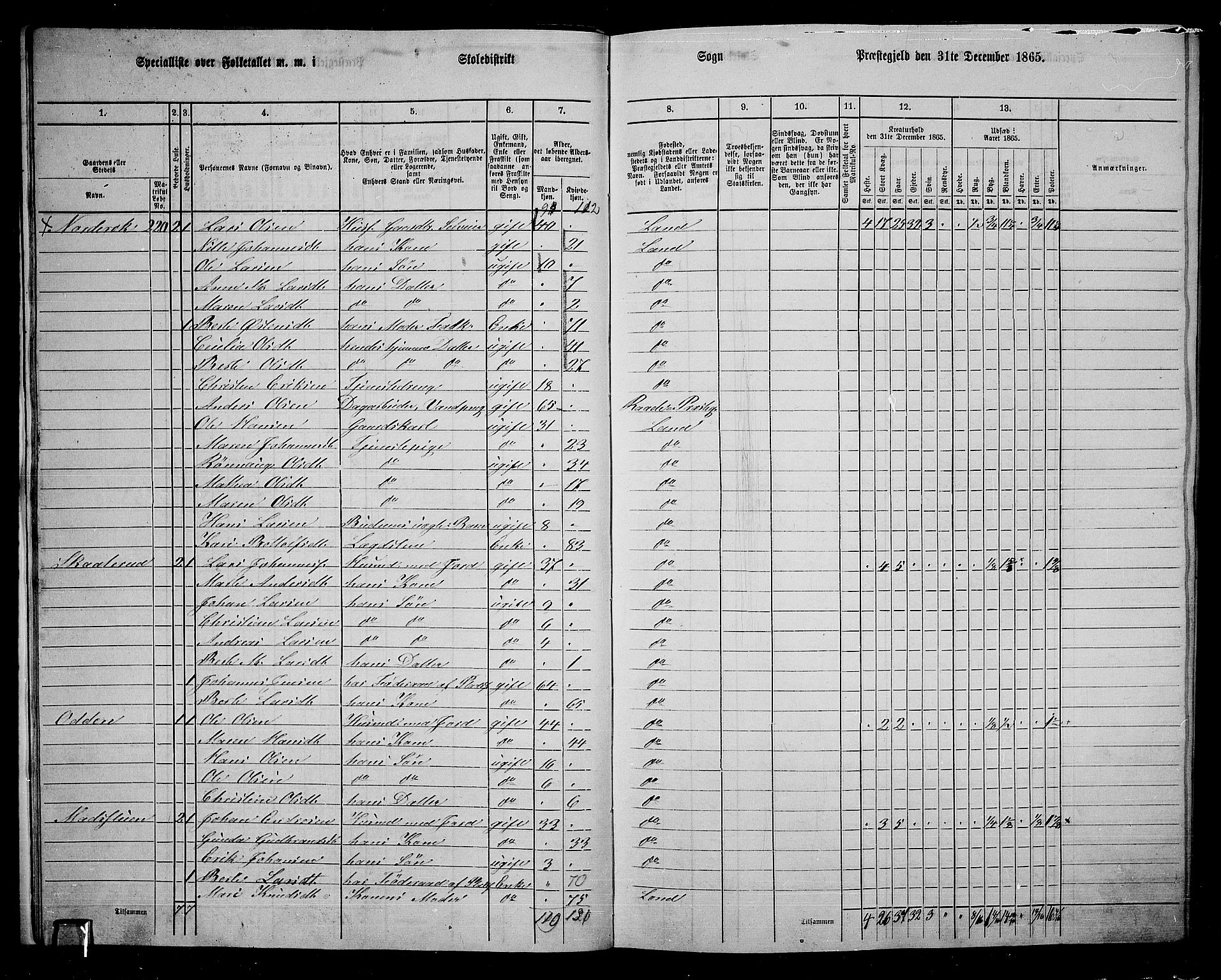 RA, 1865 census for Land, 1865, p. 224