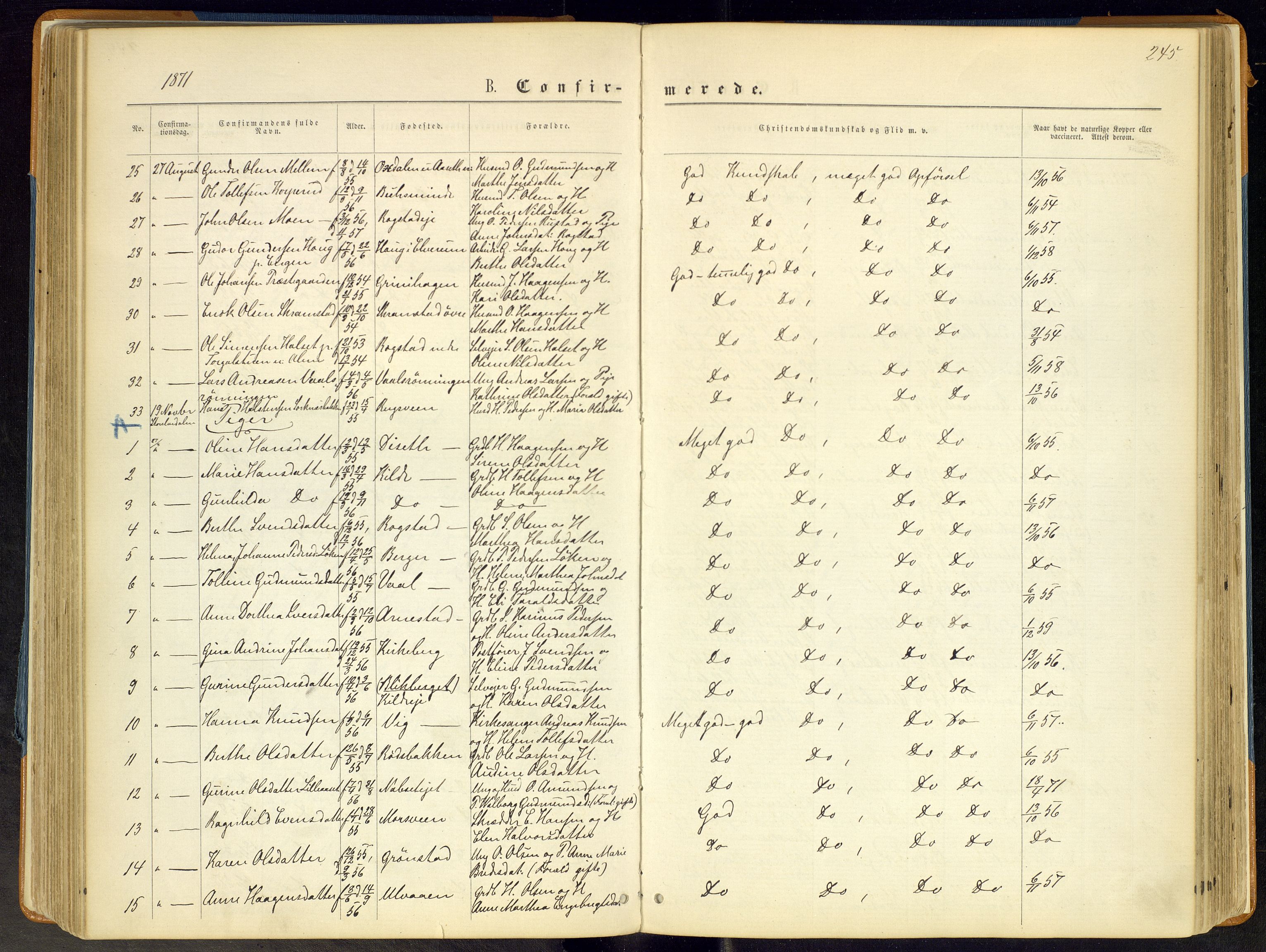 Åmot prestekontor, Hedmark, AV/SAH-PREST-056/H/Ha/Haa/L0008: Parish register (official) no. 8, 1862-1875, p. 245