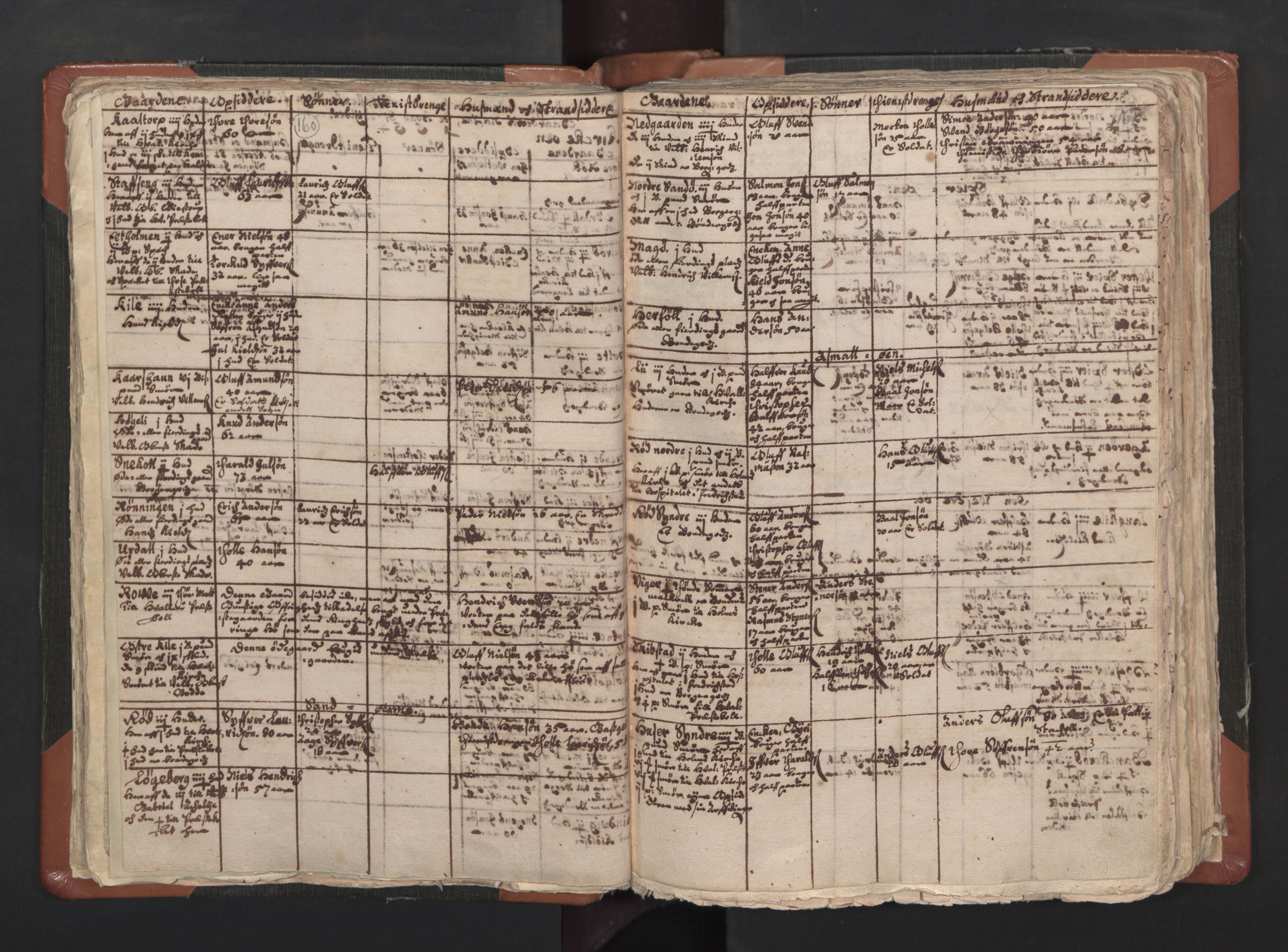 RA, Vicar's Census 1664-1666, no. 1: Nedre Borgesyssel deanery, 1664-1666, p. 160-161