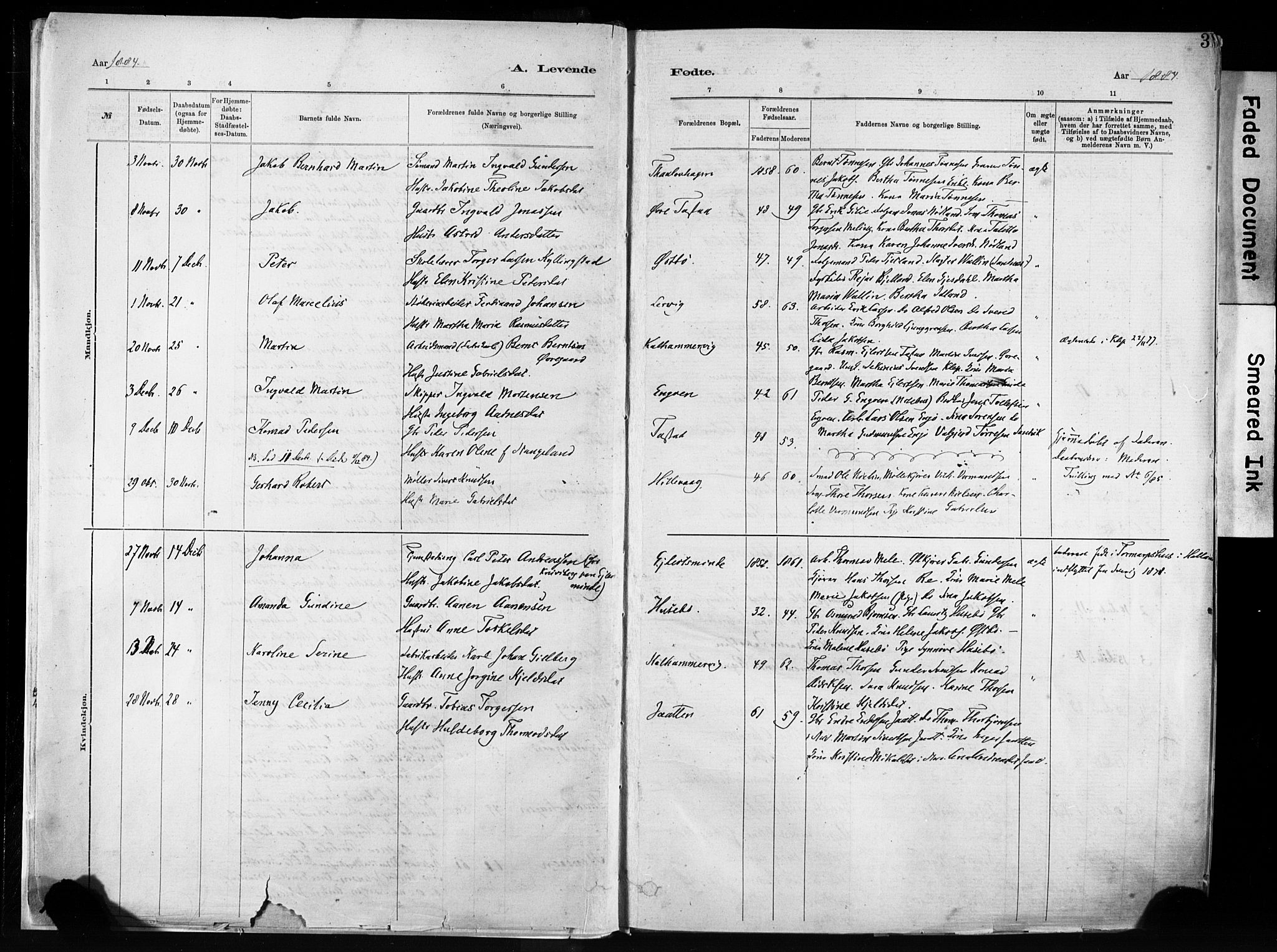 Hetland sokneprestkontor, AV/SAST-A-101826/30/30BA/L0011: Parish register (official) no. A 11, 1884-1911, p. 3