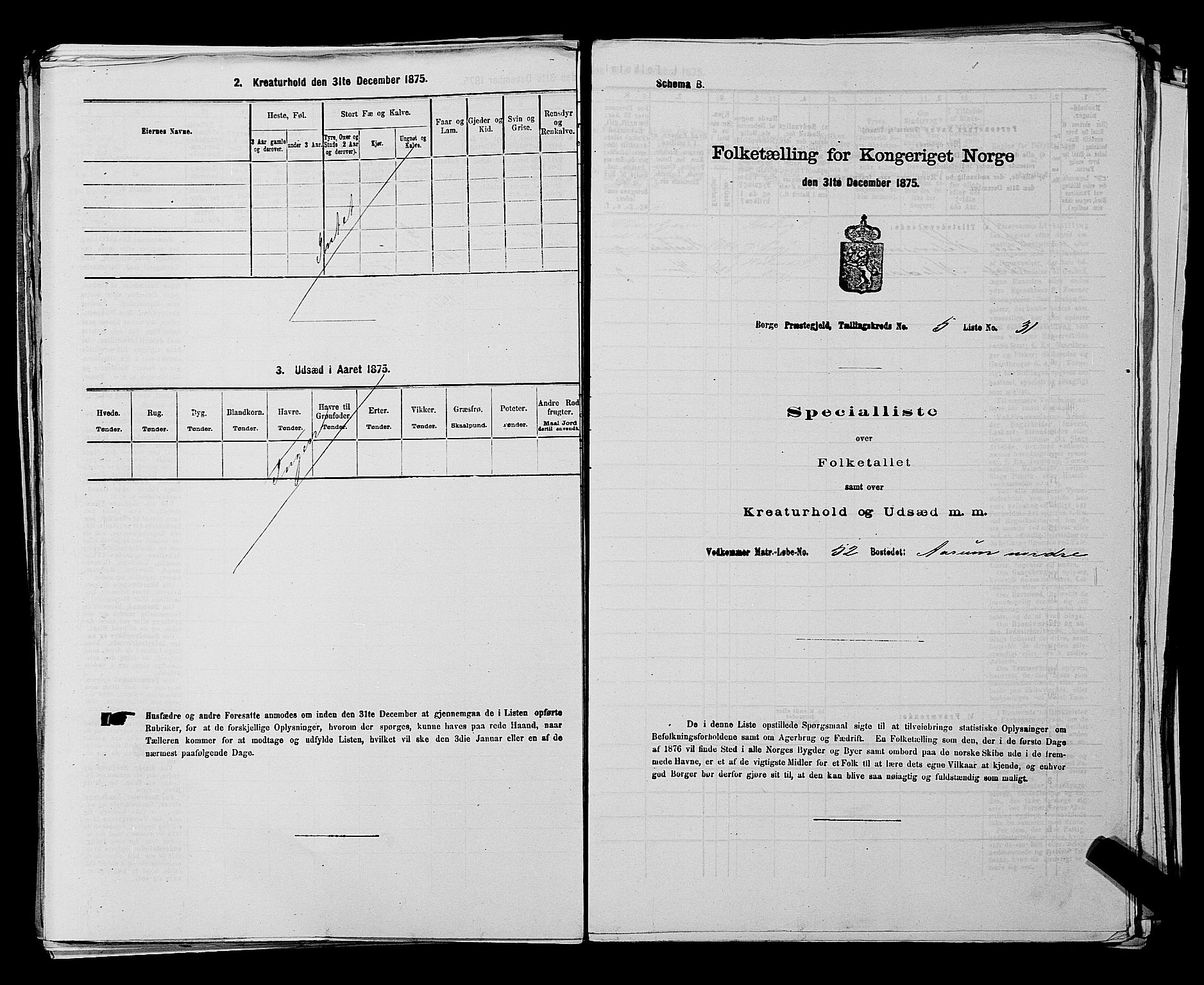 RA, 1875 census for 0113P Borge, 1875, p. 801