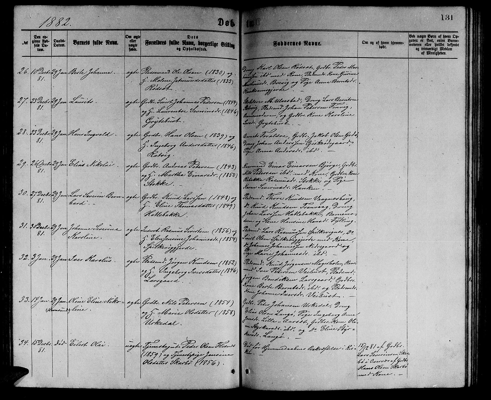 Ministerialprotokoller, klokkerbøker og fødselsregistre - Møre og Romsdal, AV/SAT-A-1454/528/L0429: Parish register (copy) no. 528C10, 1872-1886, p. 131