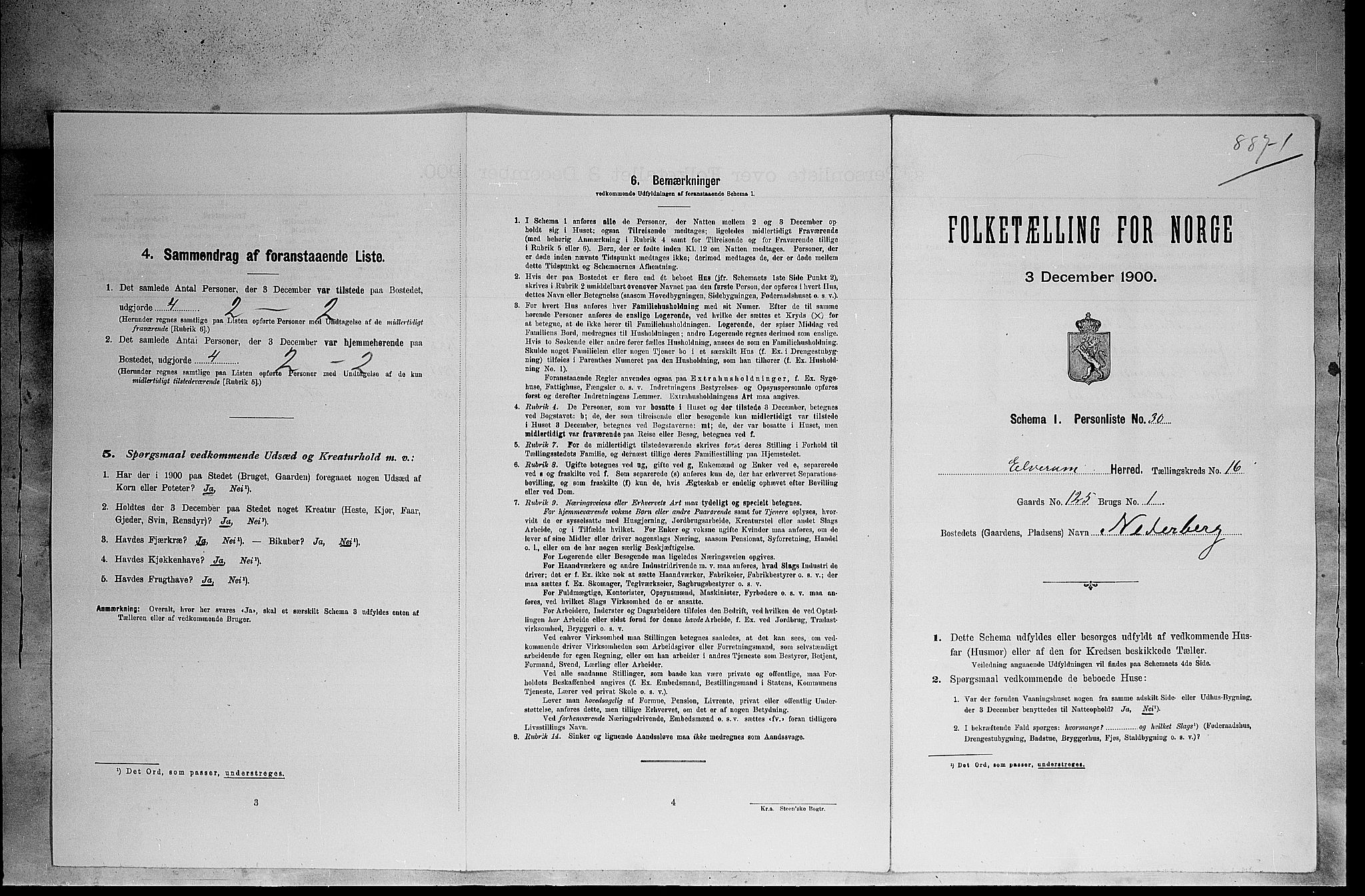 SAH, 1900 census for Elverum, 1900, p. 2284