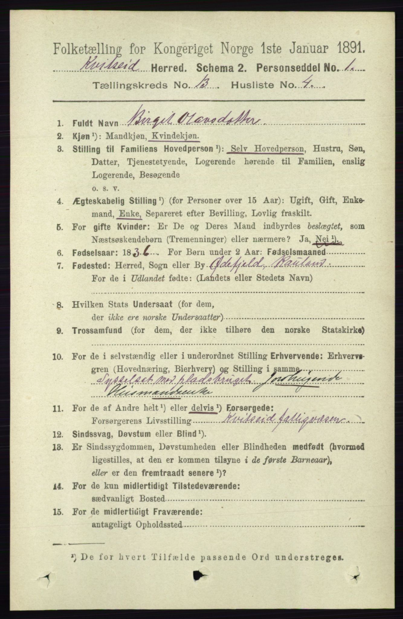 RA, 1891 census for 0829 Kviteseid, 1891, p. 3099