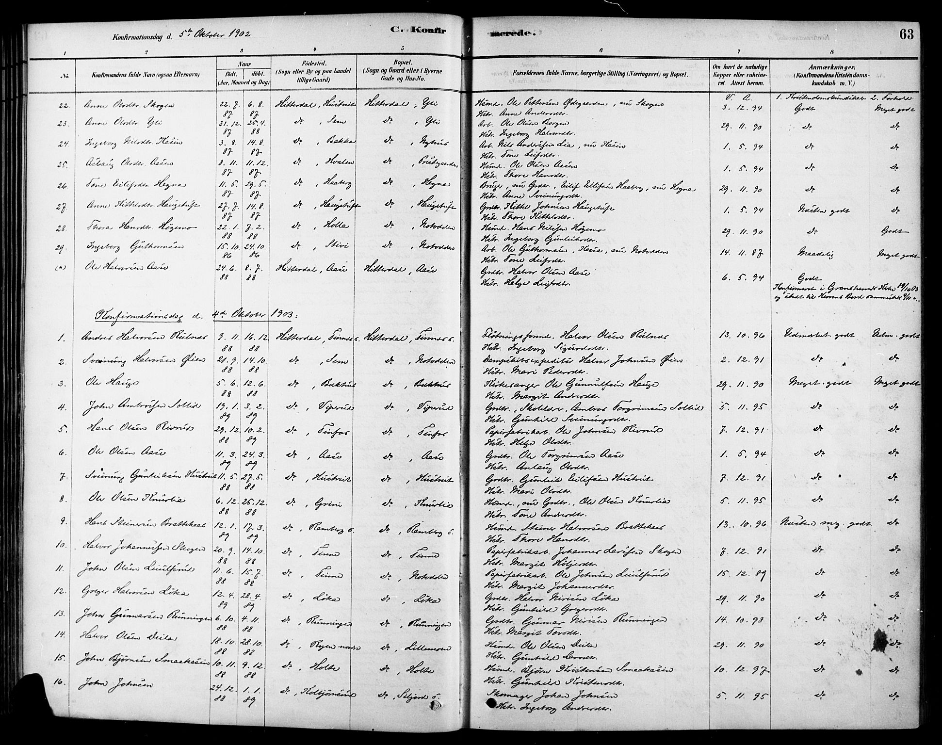 Heddal kirkebøker, AV/SAKO-A-268/F/Fa/L0009: Parish register (official) no. I 9, 1878-1903, p. 63