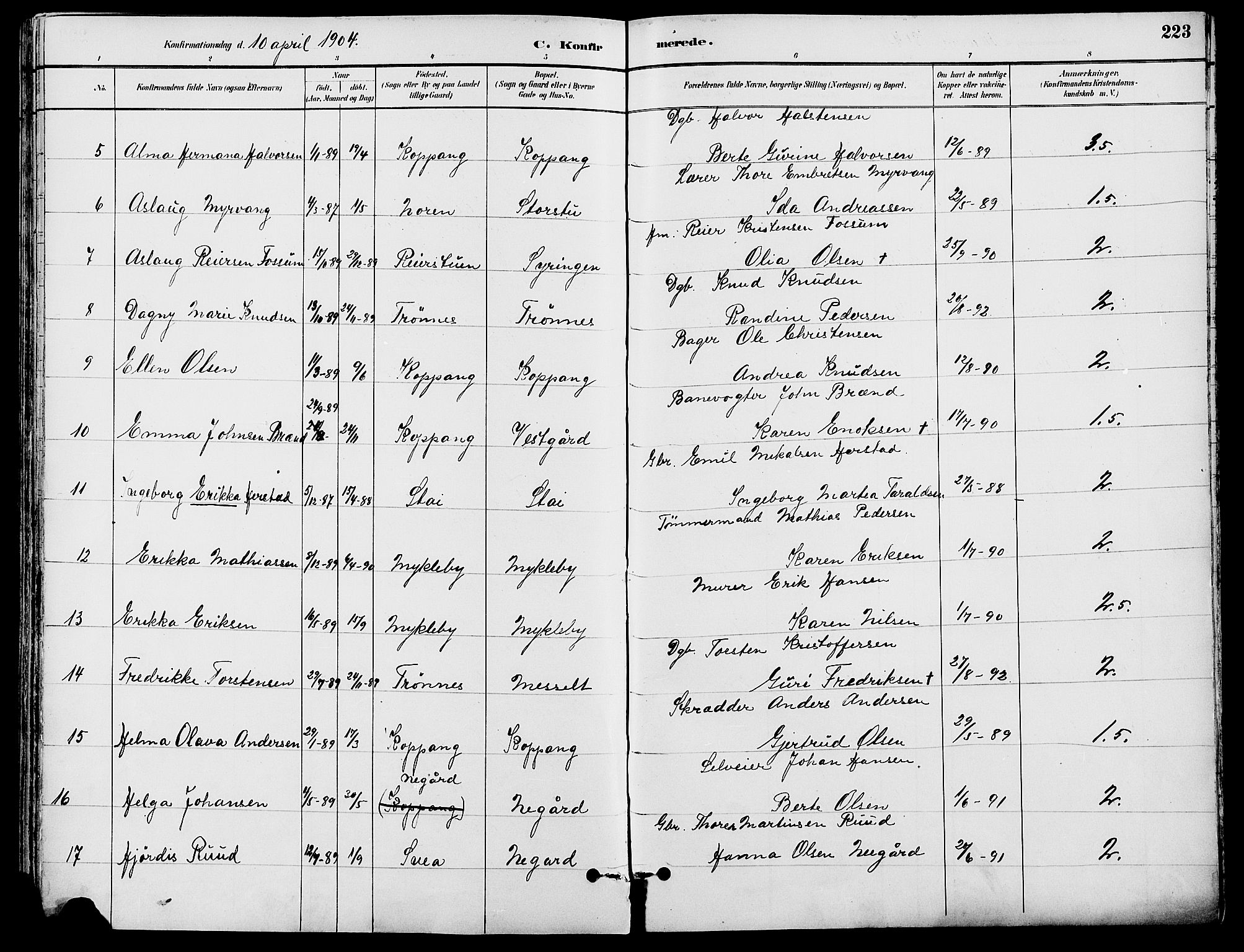 Stor-Elvdal prestekontor, SAH/PREST-052/H/Ha/Haa/L0002: Parish register (official) no. 2, 1882-1907, p. 223