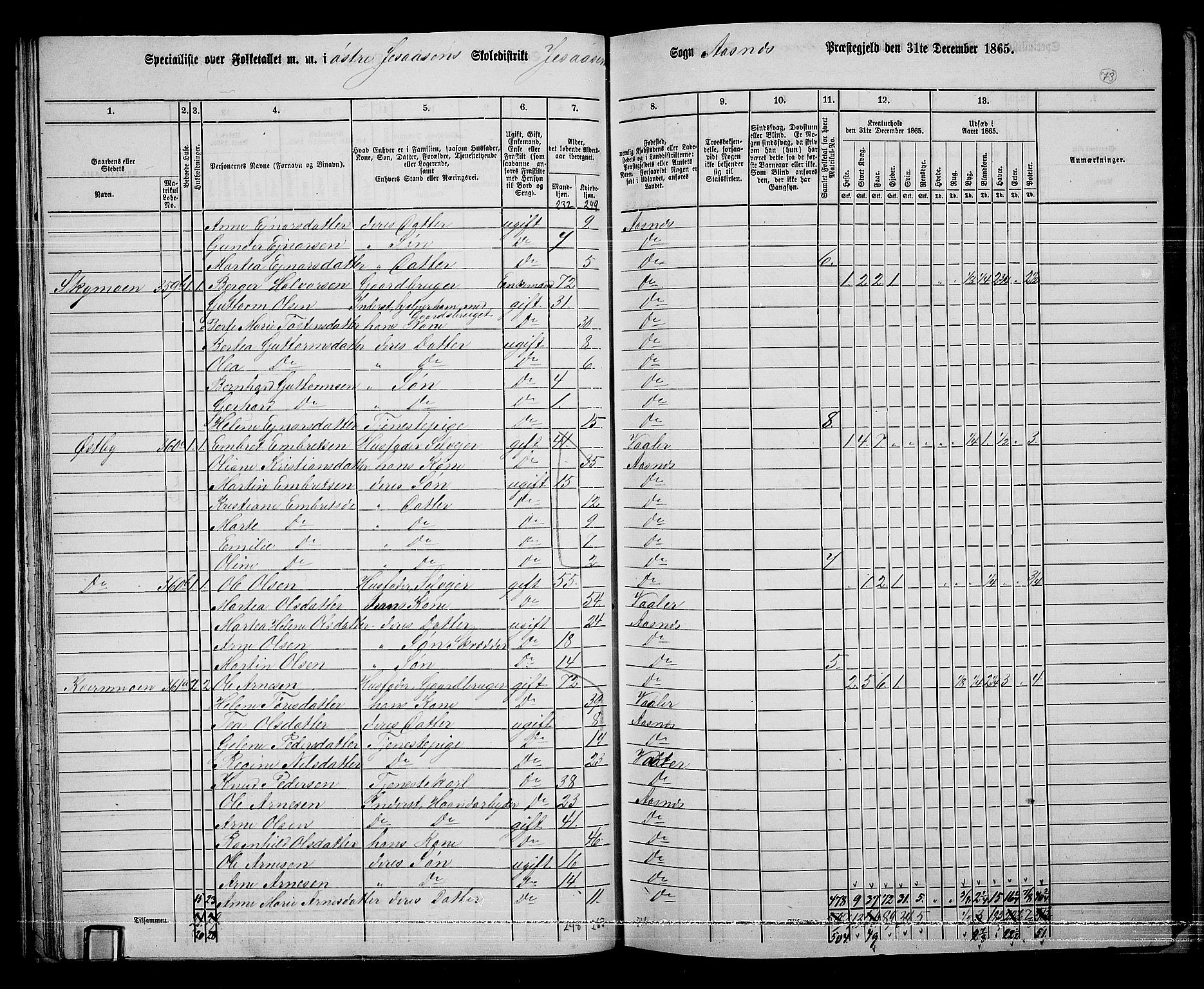 RA, 1865 census for Åsnes, 1865, p. 69