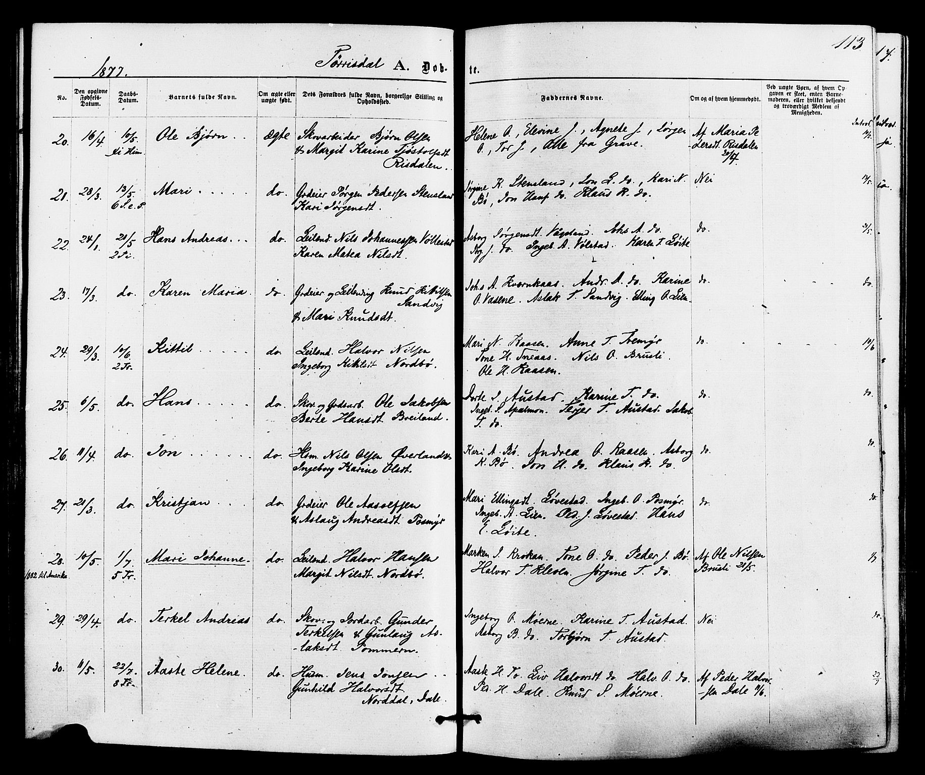 Drangedal kirkebøker, SAKO/A-258/F/Fa/L0009: Parish register (official) no. 9 /2, 1872-1884, p. 113