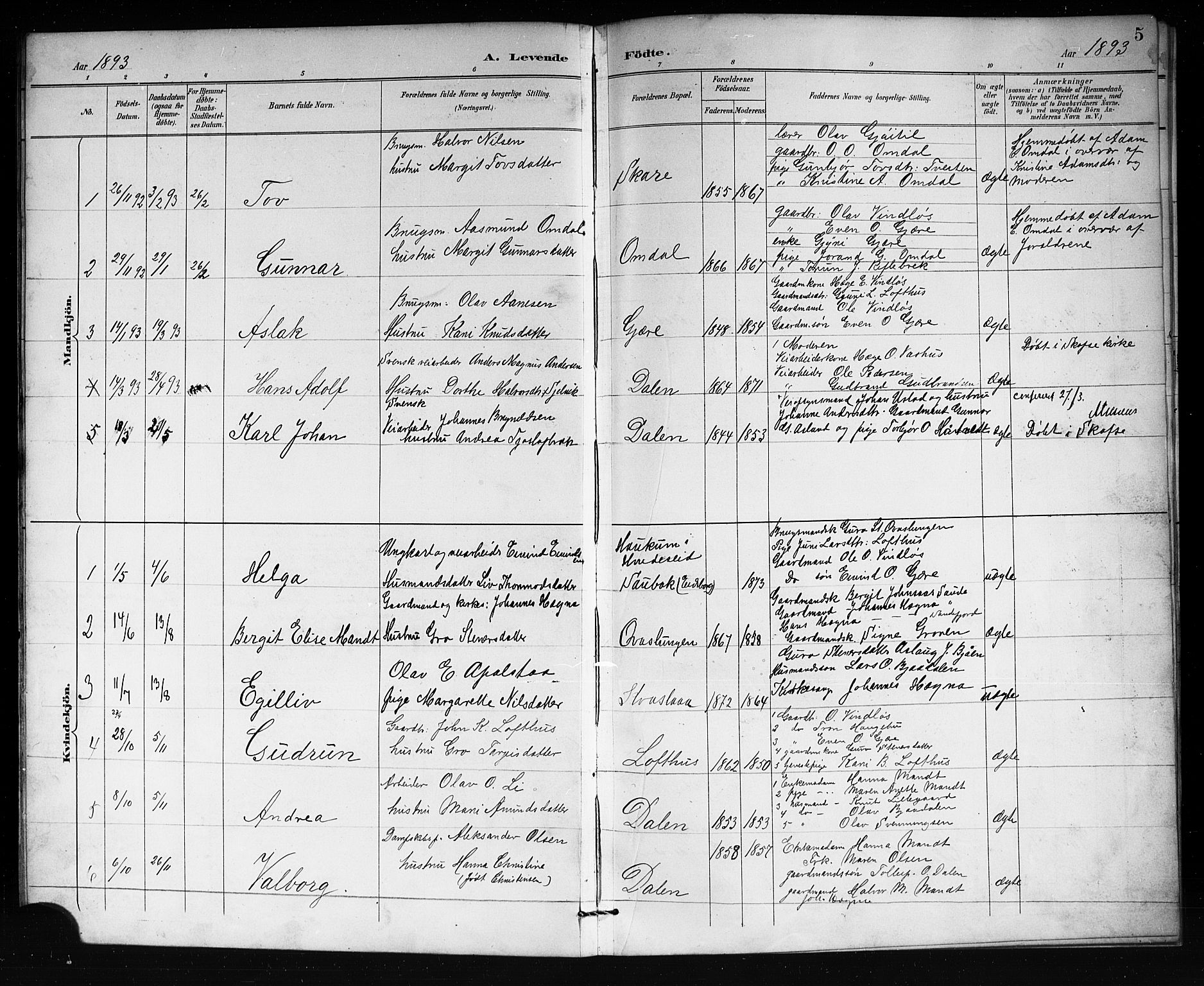 Lårdal kirkebøker, AV/SAKO-A-284/G/Gb/L0003: Parish register (copy) no. II 3, 1889-1920, p. 5