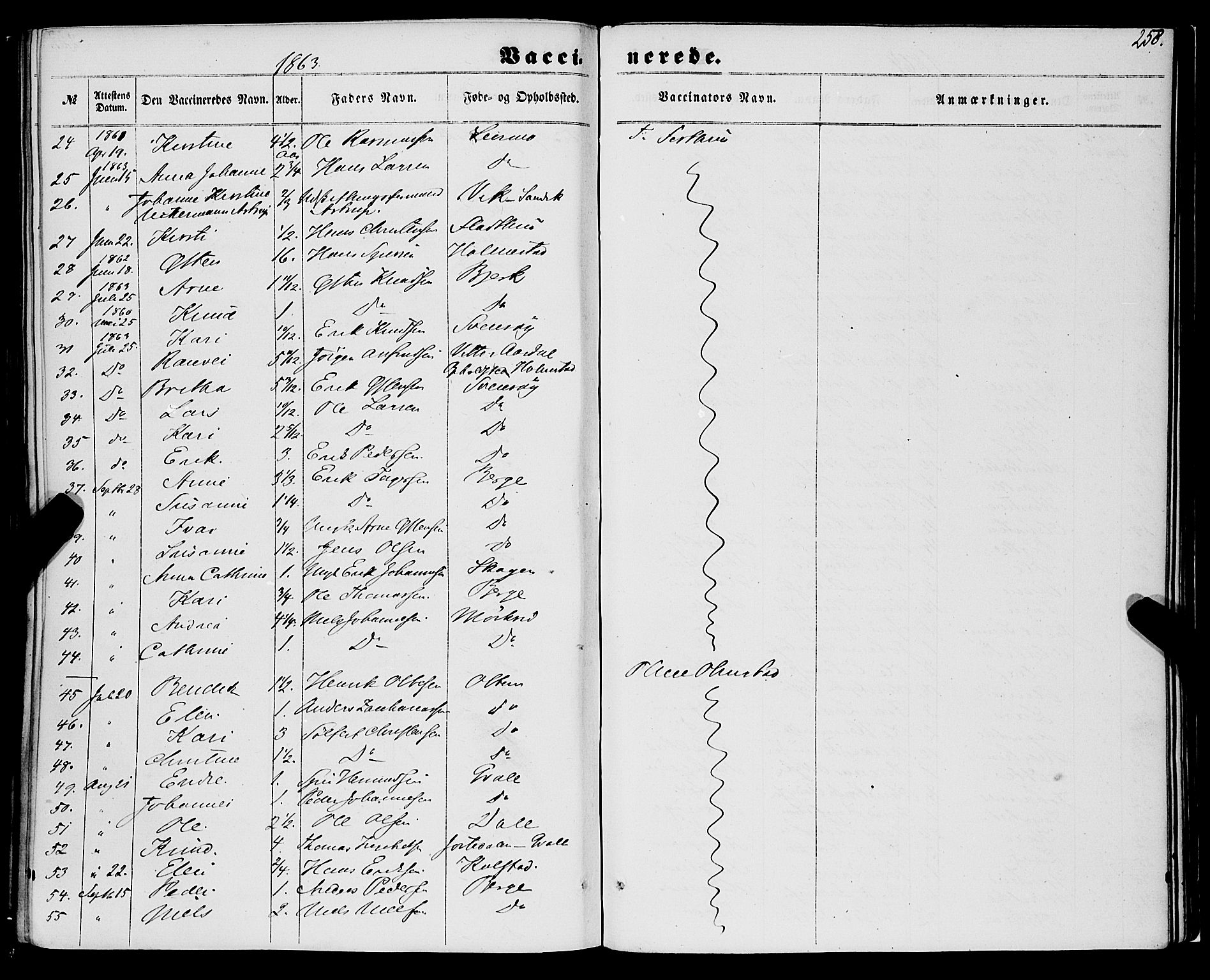 Luster sokneprestembete, AV/SAB-A-81101/H/Haa/Haaa/L0008: Parish register (official) no. A 8, 1860-1870, p. 258