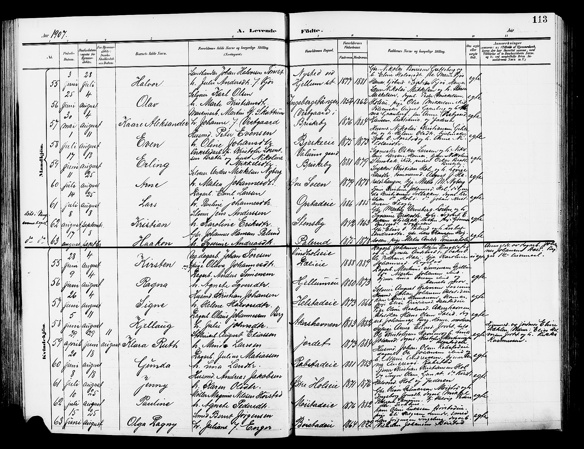Vang prestekontor, Hedmark, AV/SAH-PREST-008/H/Ha/Hab/L0014: Parish register (copy) no. 14, 1896-1914, p. 113
