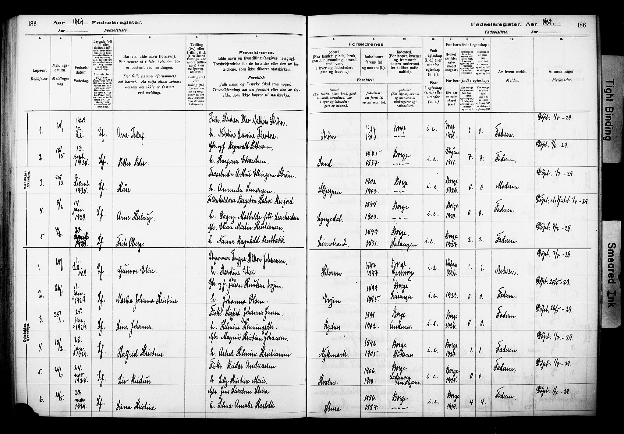 Ministerialprotokoller, klokkerbøker og fødselsregistre - Nordland, SAT/A-1459/880/L1145: Birth register no. 880.II.4.1, 1916-1929, p. 186