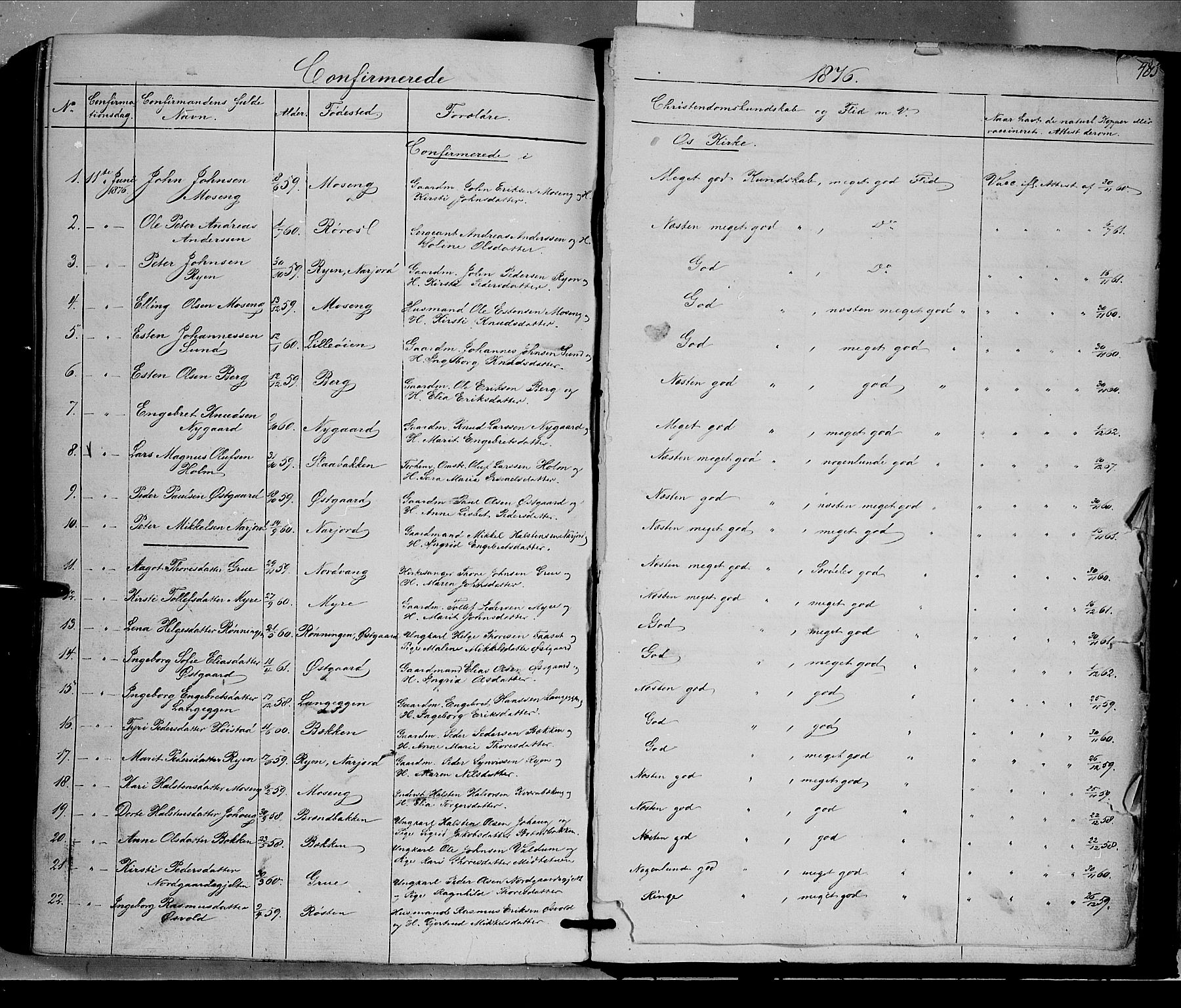 Tolga prestekontor, AV/SAH-PREST-062/K/L0006: Parish register (official) no. 6, 1852-1876, p. 485