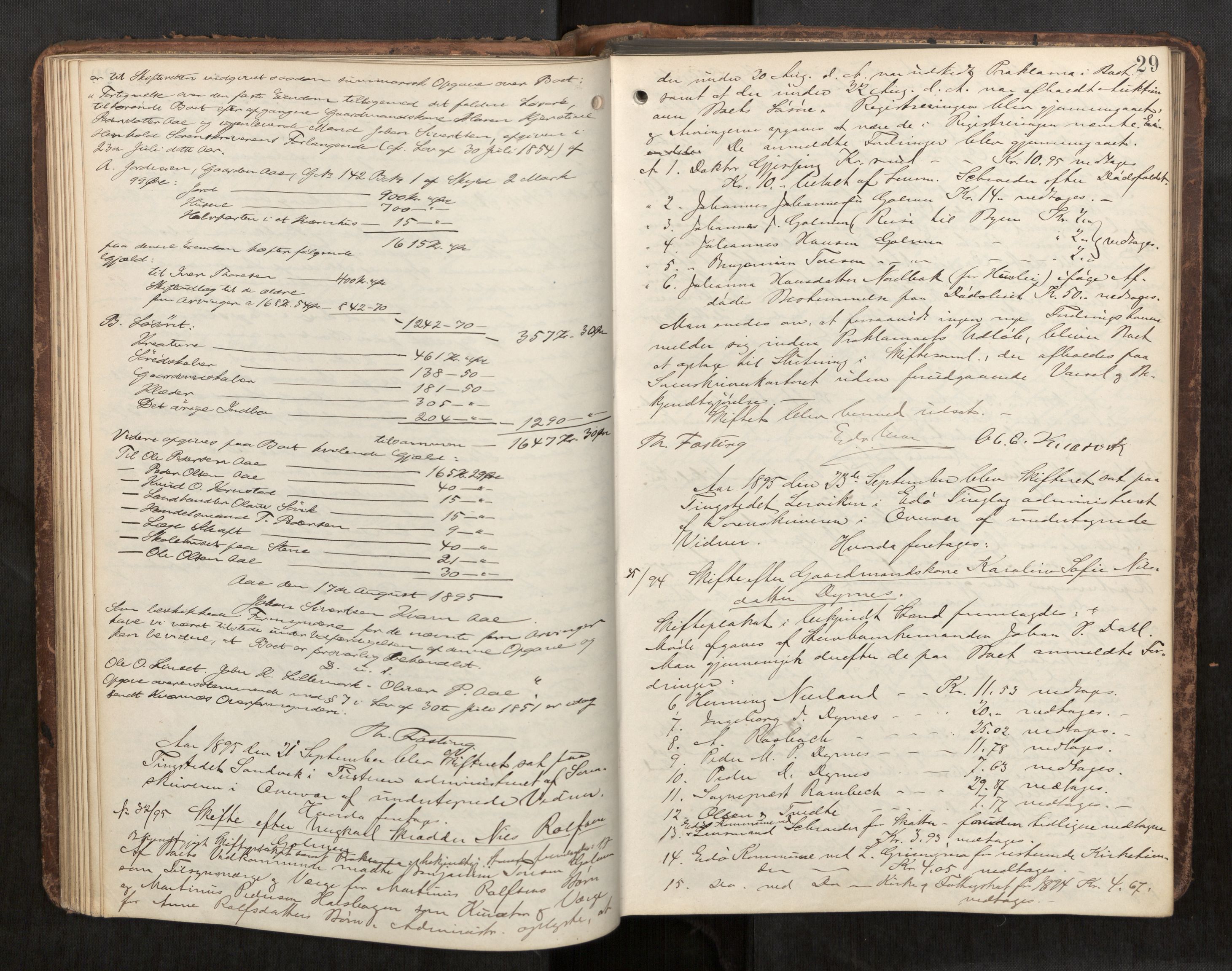 Nordmøre sorenskriveri, AV/SAT-A-4132/1/3/3B/L0006: Forhandlingsprotokoll nr. 06, 1894-1900, p. 29