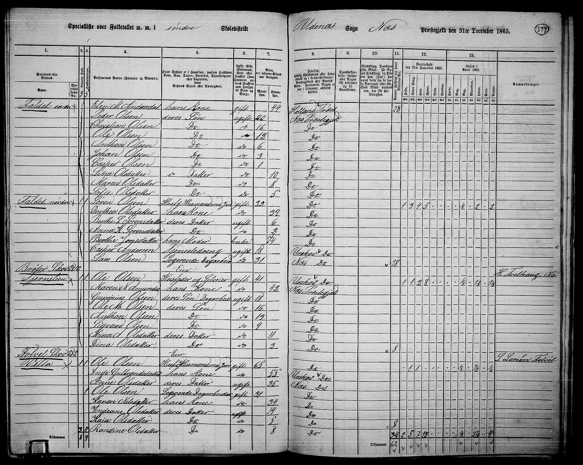 RA, 1865 census for Nes, 1865, p. 343