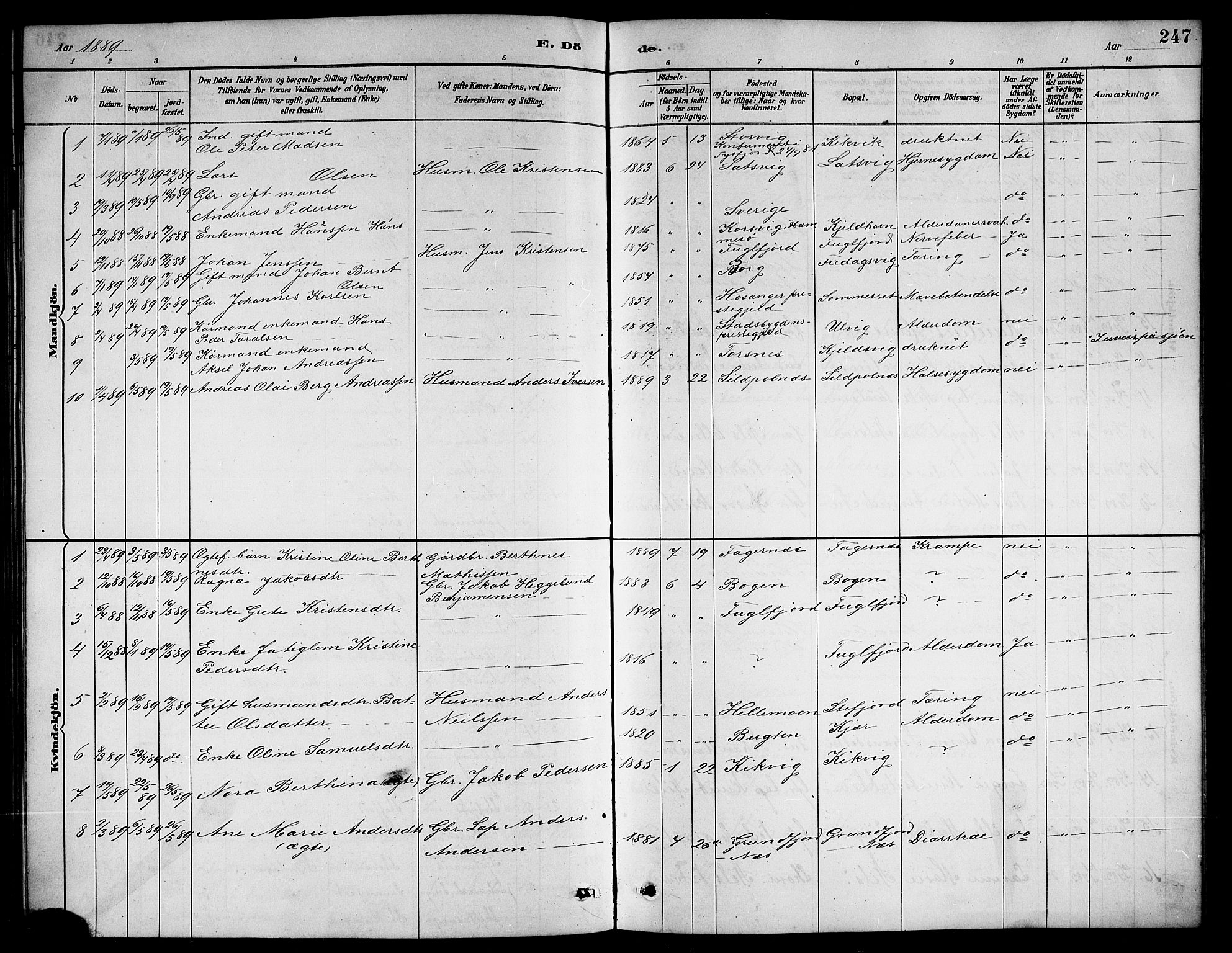 Ministerialprotokoller, klokkerbøker og fødselsregistre - Nordland, SAT/A-1459/861/L0876: Parish register (copy) no. 861C02, 1887-1903, p. 247