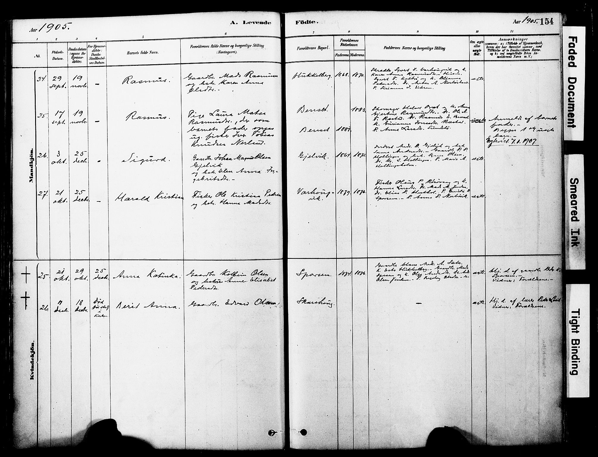 Ministerialprotokoller, klokkerbøker og fødselsregistre - Møre og Romsdal, SAT/A-1454/560/L0721: Parish register (official) no. 560A05, 1878-1917, p. 154