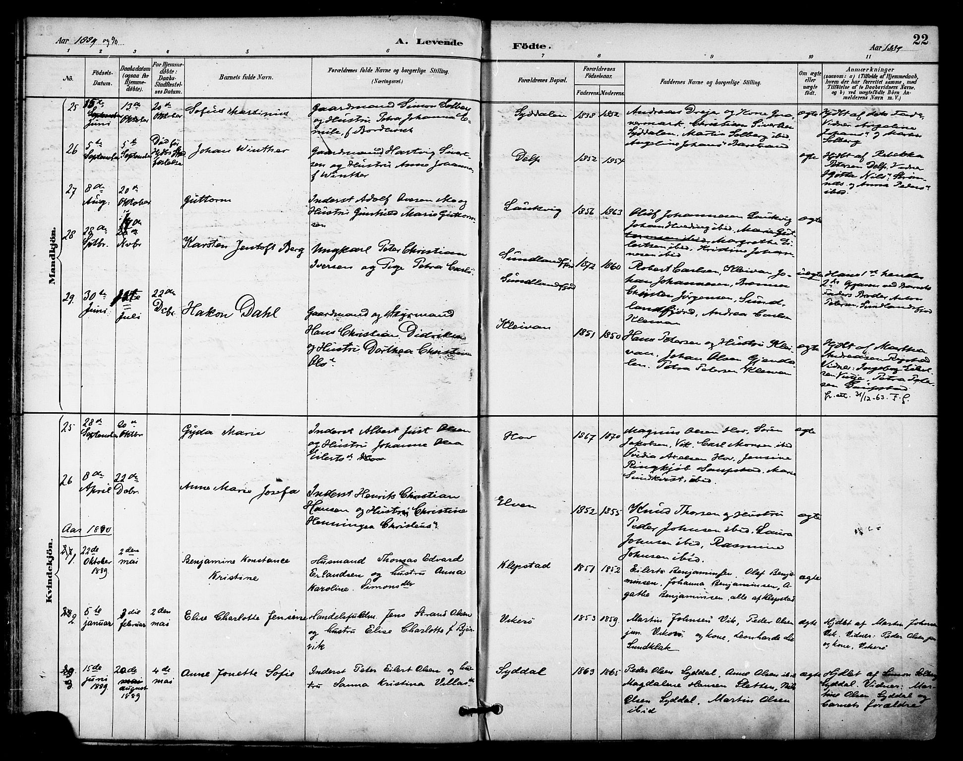 Ministerialprotokoller, klokkerbøker og fødselsregistre - Nordland, AV/SAT-A-1459/876/L1097: Parish register (official) no. 876A03, 1886-1896, p. 22