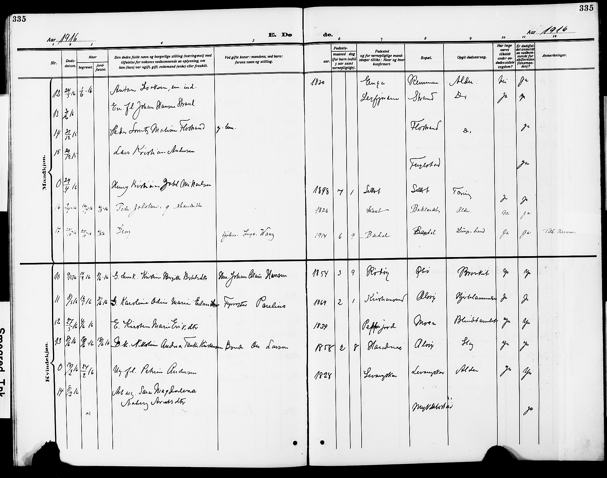 Ministerialprotokoller, klokkerbøker og fødselsregistre - Nordland, SAT/A-1459/838/L0560: Parish register (copy) no. 838C07, 1910-1928, p. 335
