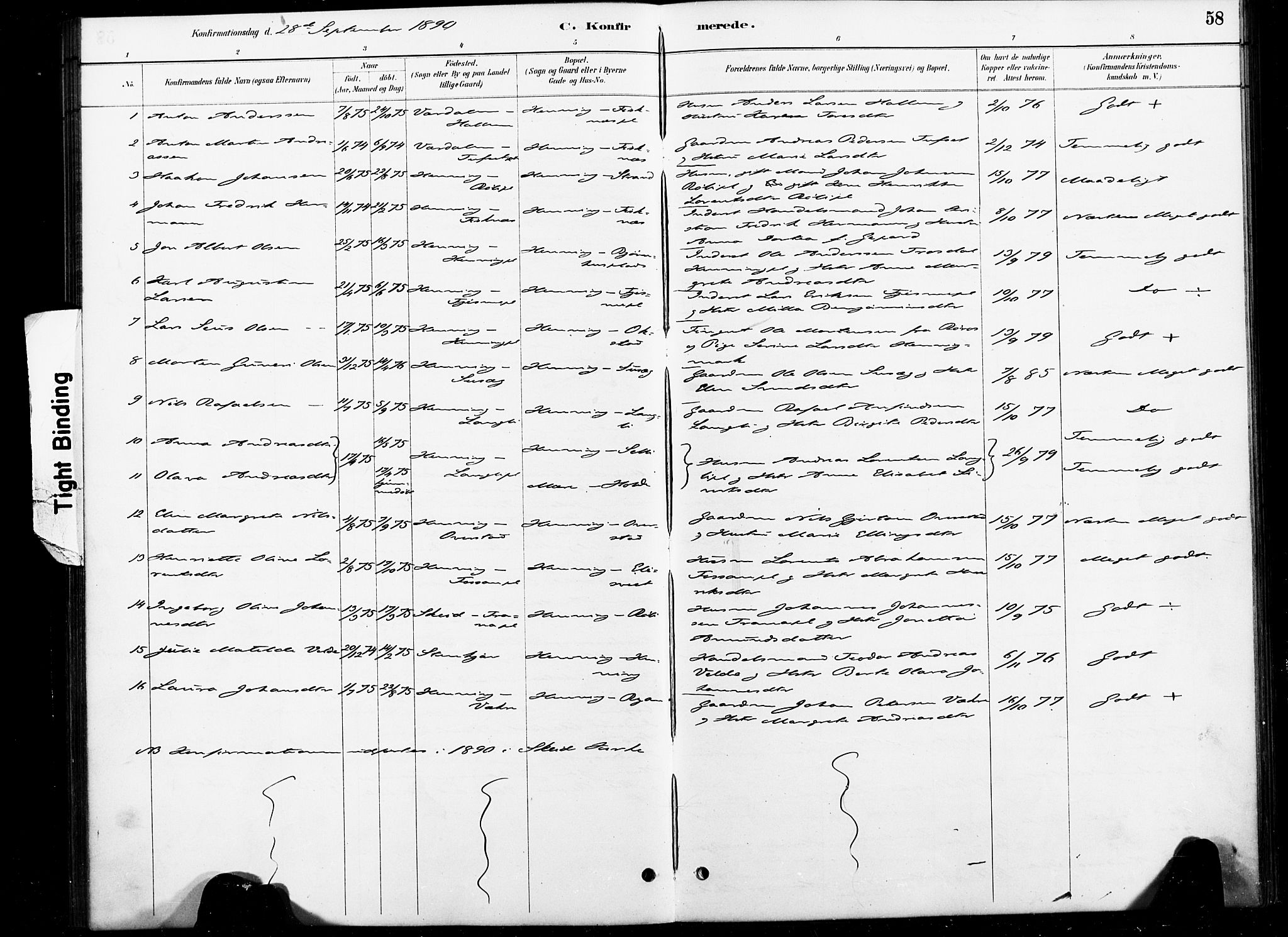 Ministerialprotokoller, klokkerbøker og fødselsregistre - Nord-Trøndelag, SAT/A-1458/738/L0364: Parish register (official) no. 738A01, 1884-1902, p. 58