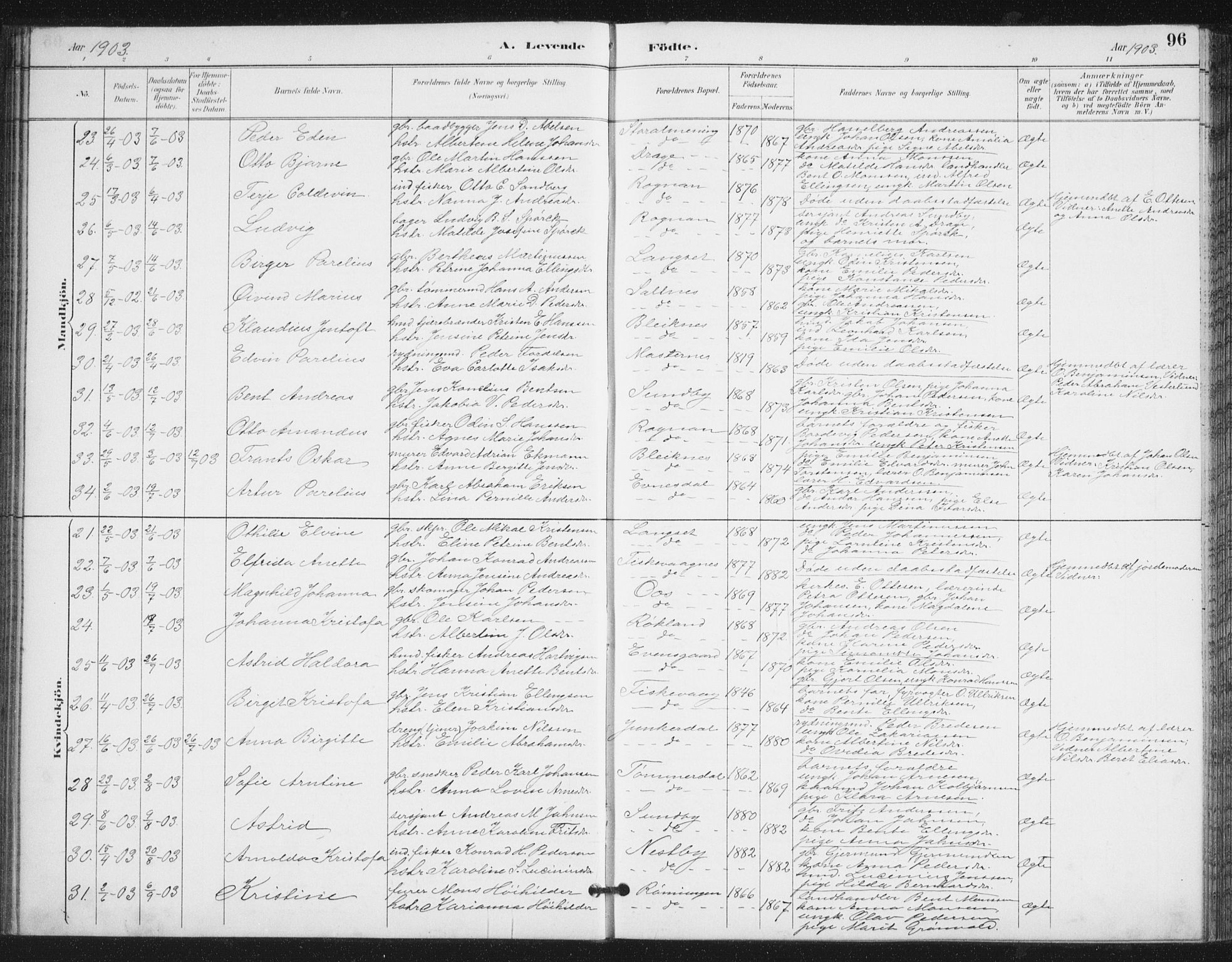 Ministerialprotokoller, klokkerbøker og fødselsregistre - Nordland, AV/SAT-A-1459/847/L0682: Parish register (copy) no. 847C10, 1889-1907, p. 96