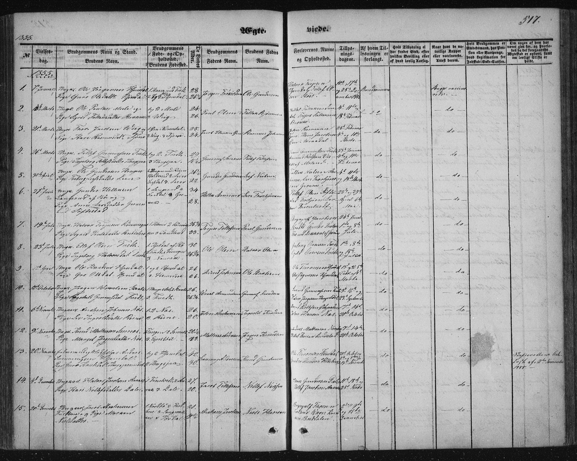 Nissedal kirkebøker, SAKO/A-288/F/Fa/L0003: Parish register (official) no. I 3, 1846-1870, p. 516-517