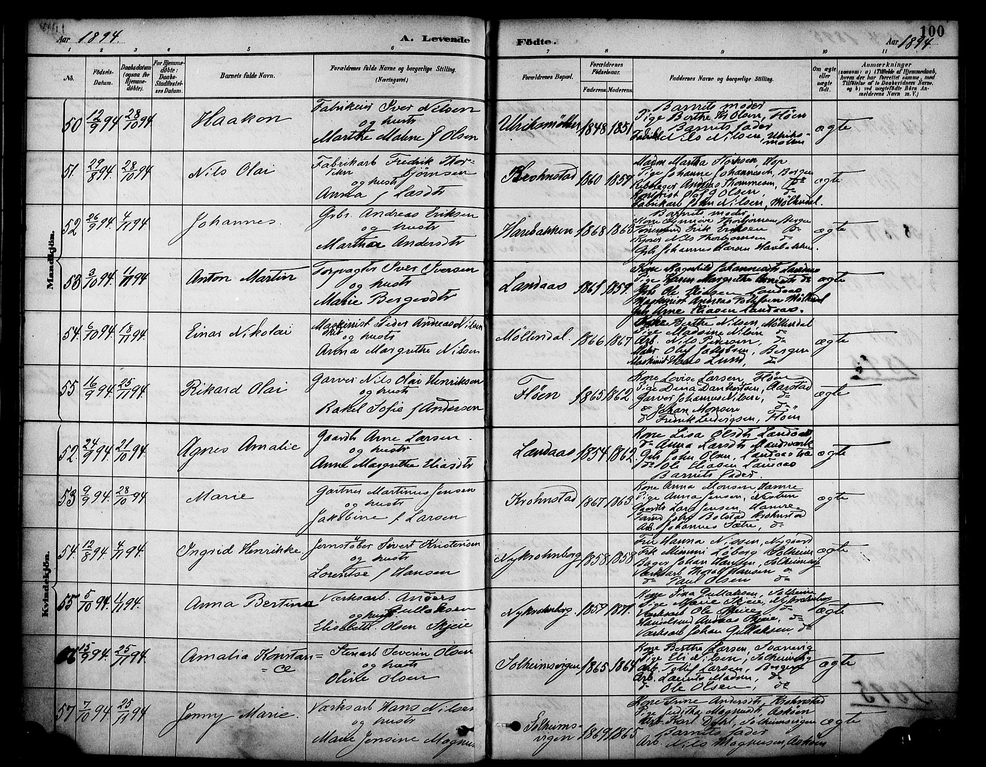 Årstad Sokneprestembete, AV/SAB-A-79301/H/Haa/L0001: Parish register (official) no. A 1, 1886-1901, p. 100