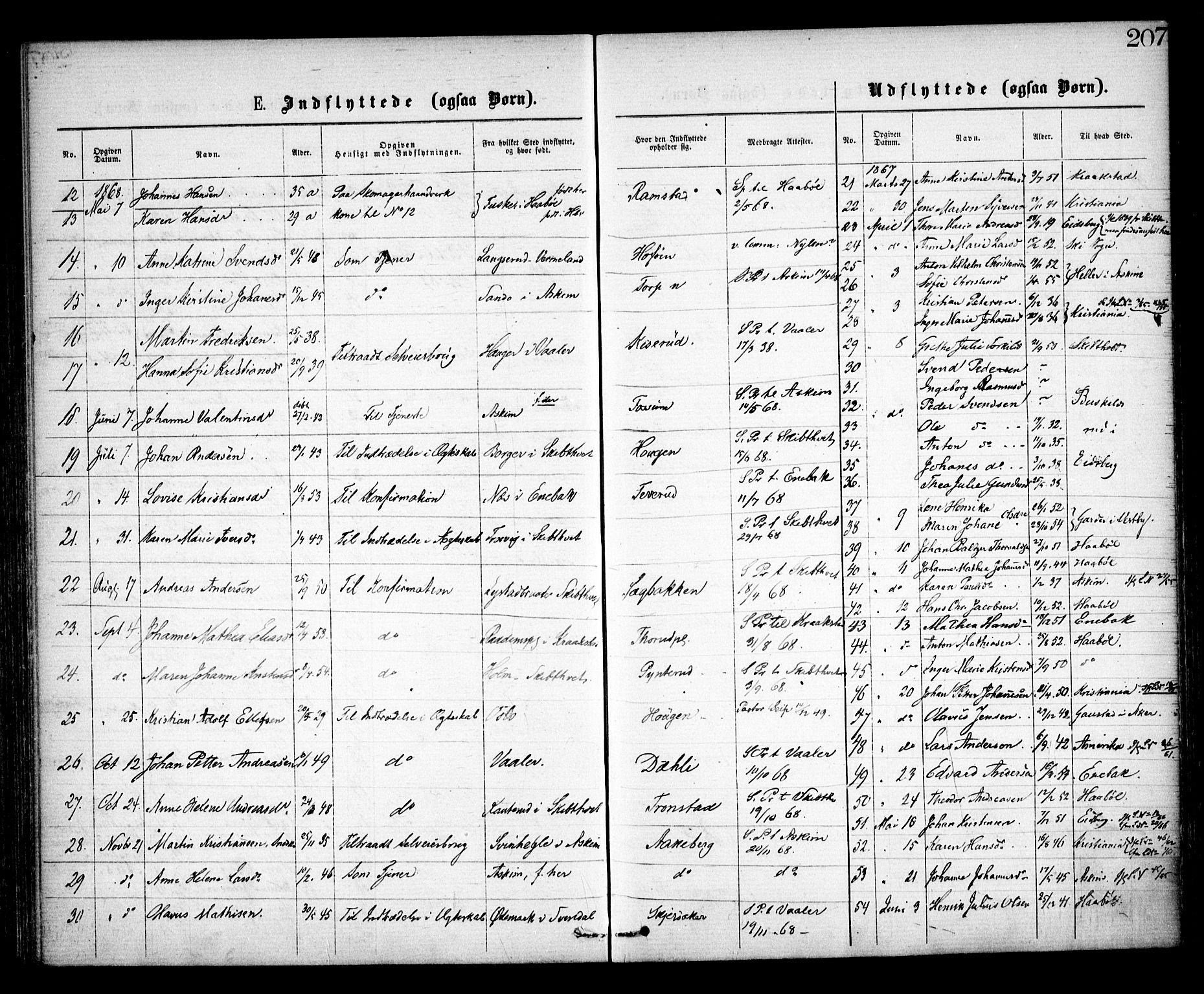 Spydeberg prestekontor Kirkebøker, SAO/A-10924/F/Fa/L0006: Parish register (official) no. I 6, 1863-1874, p. 207